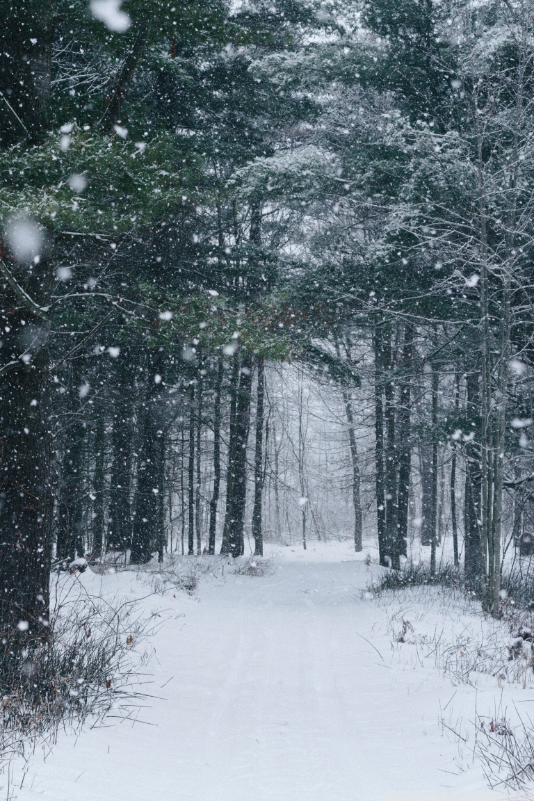 Desktop Background Wallpaper for 4K UHD