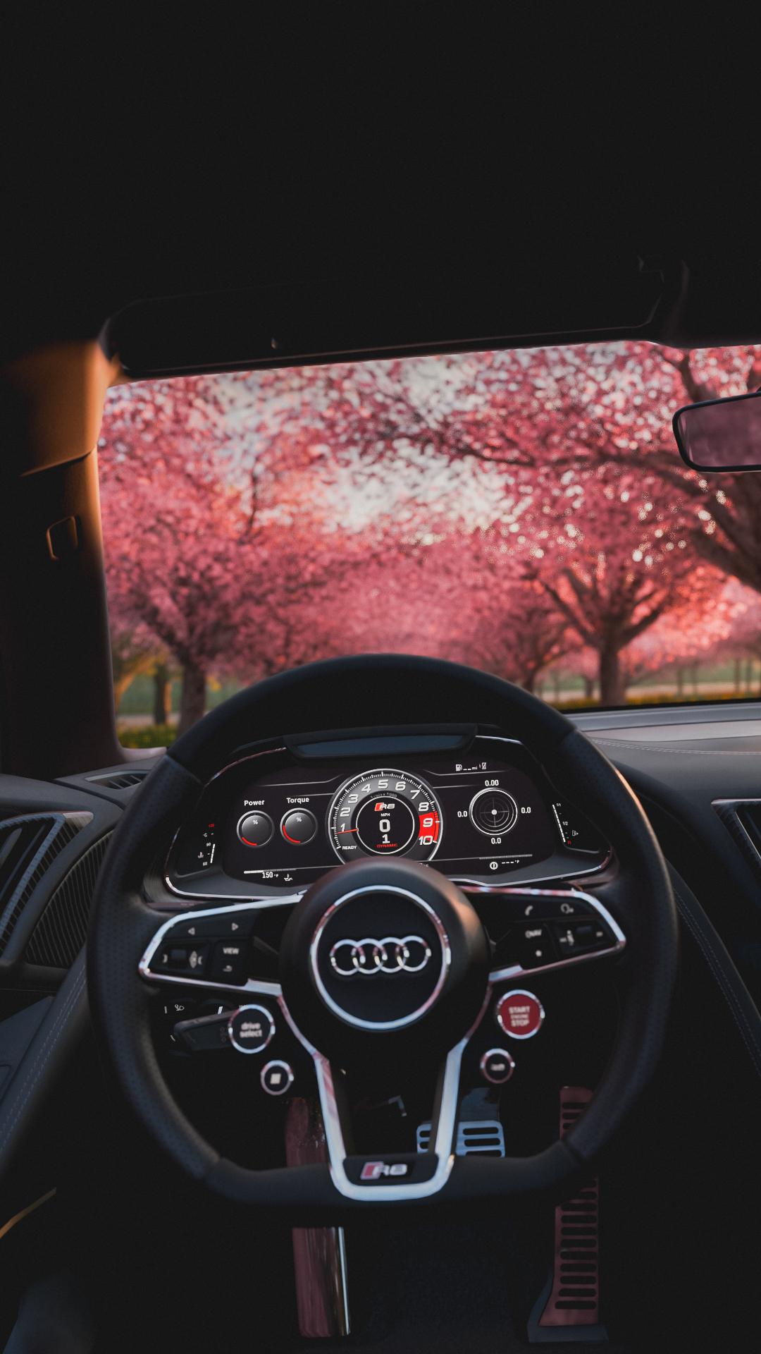 One of the best car interiors Audi R8