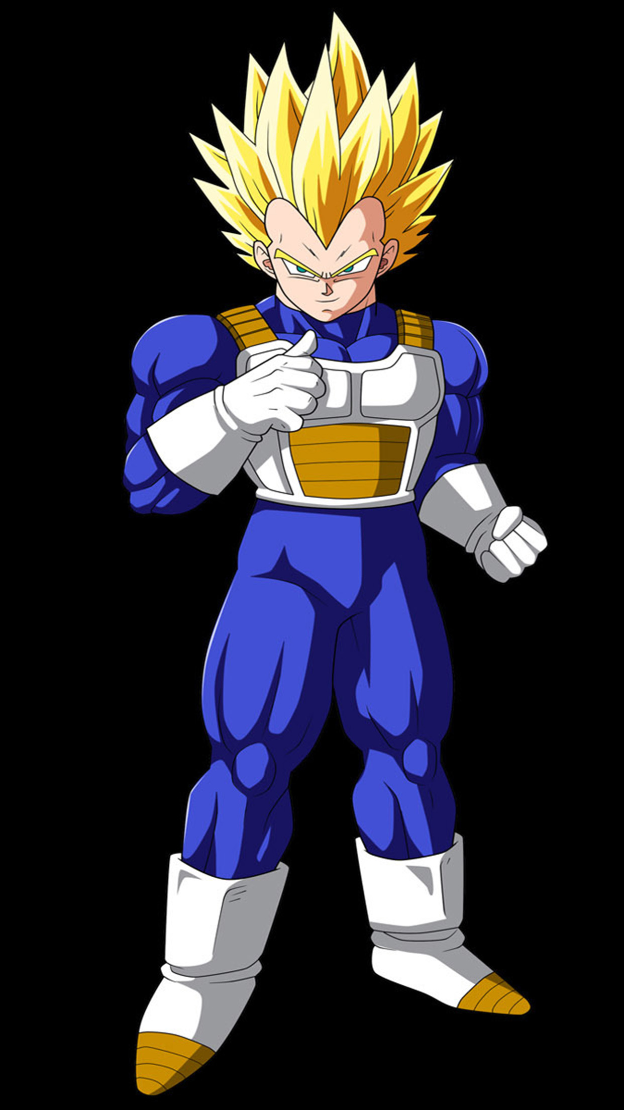 Dragon Ball Z: Super Vegeta Wallpaper