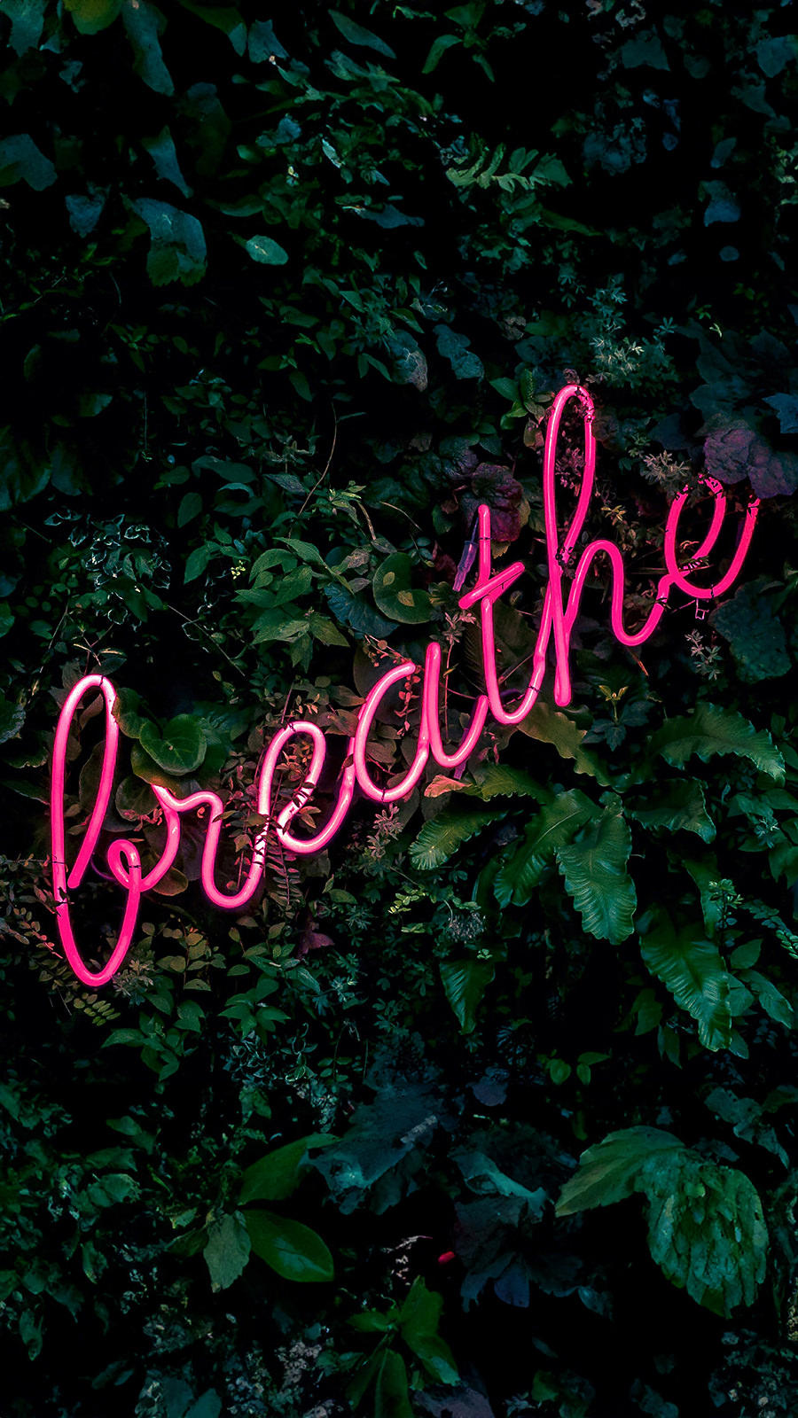 Typography Wallpaper for Your Desktop