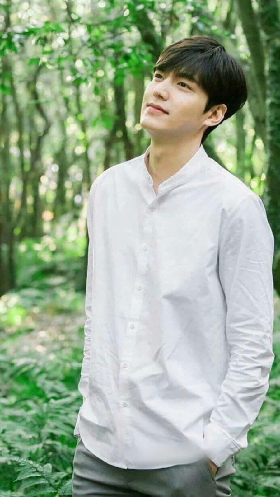 South Korean actor, Lee Min Ho