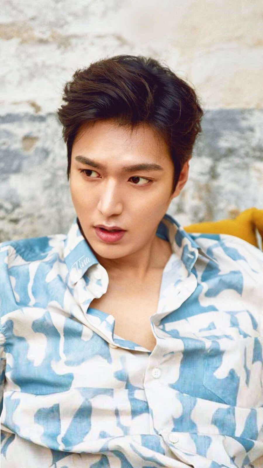 Lee Min Ho Korean Actor