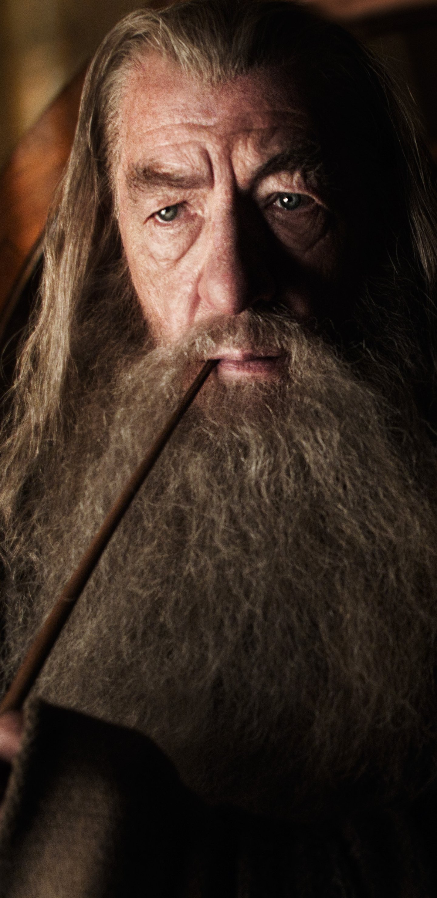 Gandalf iPhone Wallpaper