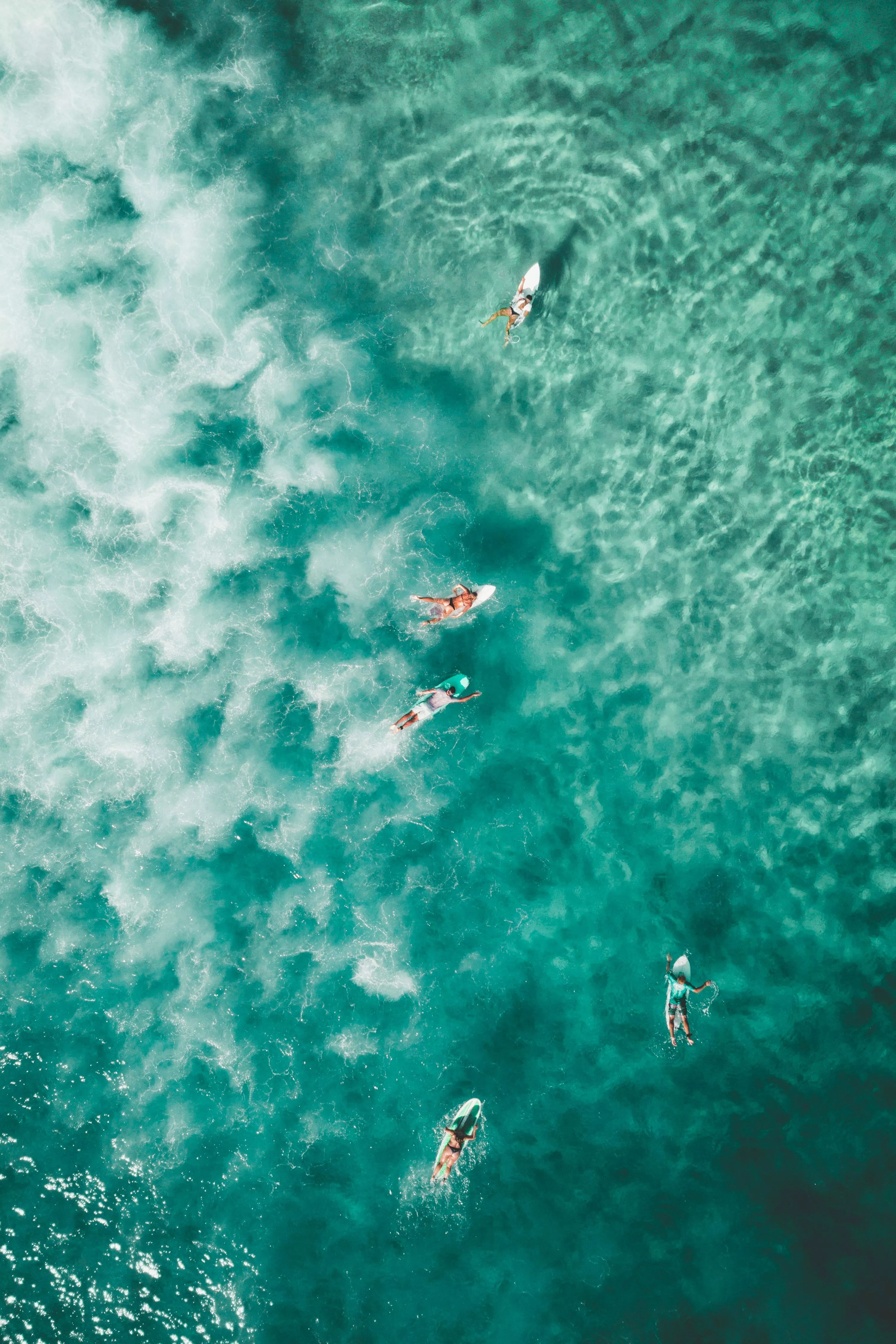 Surf Picture. Download Free
