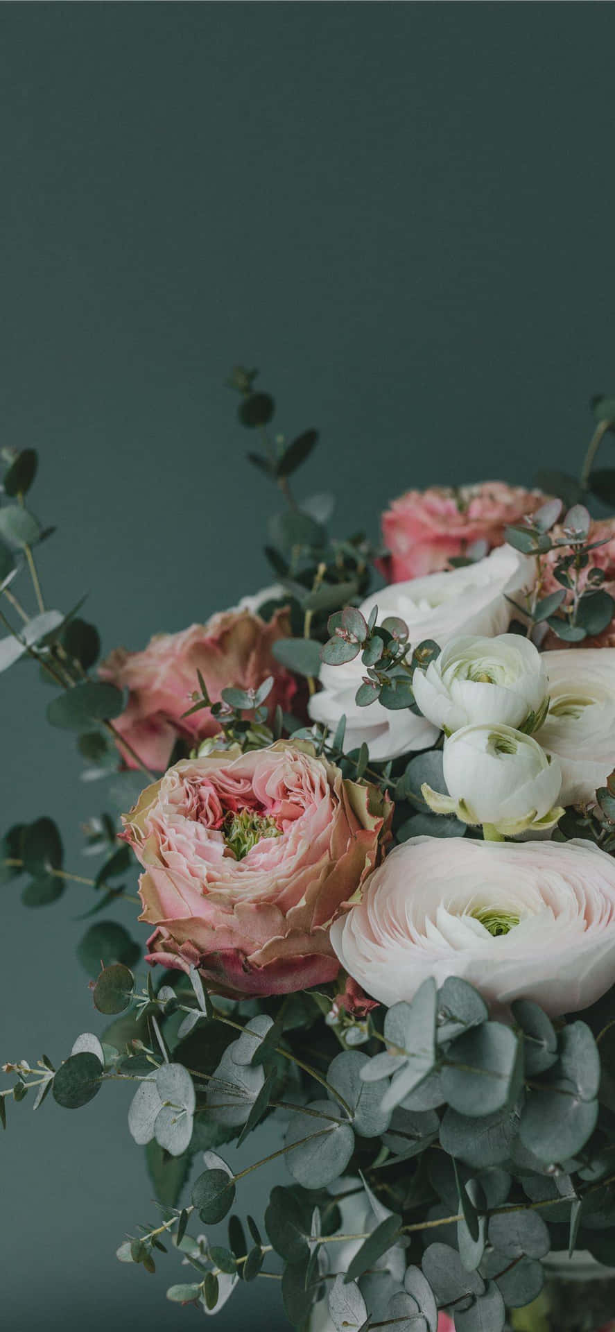 gorgeous floral aesthetics” Wallpaper