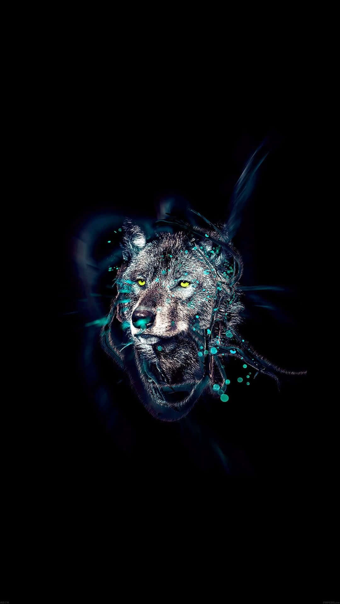 Wolf Spotlight iPhone Wallpaper