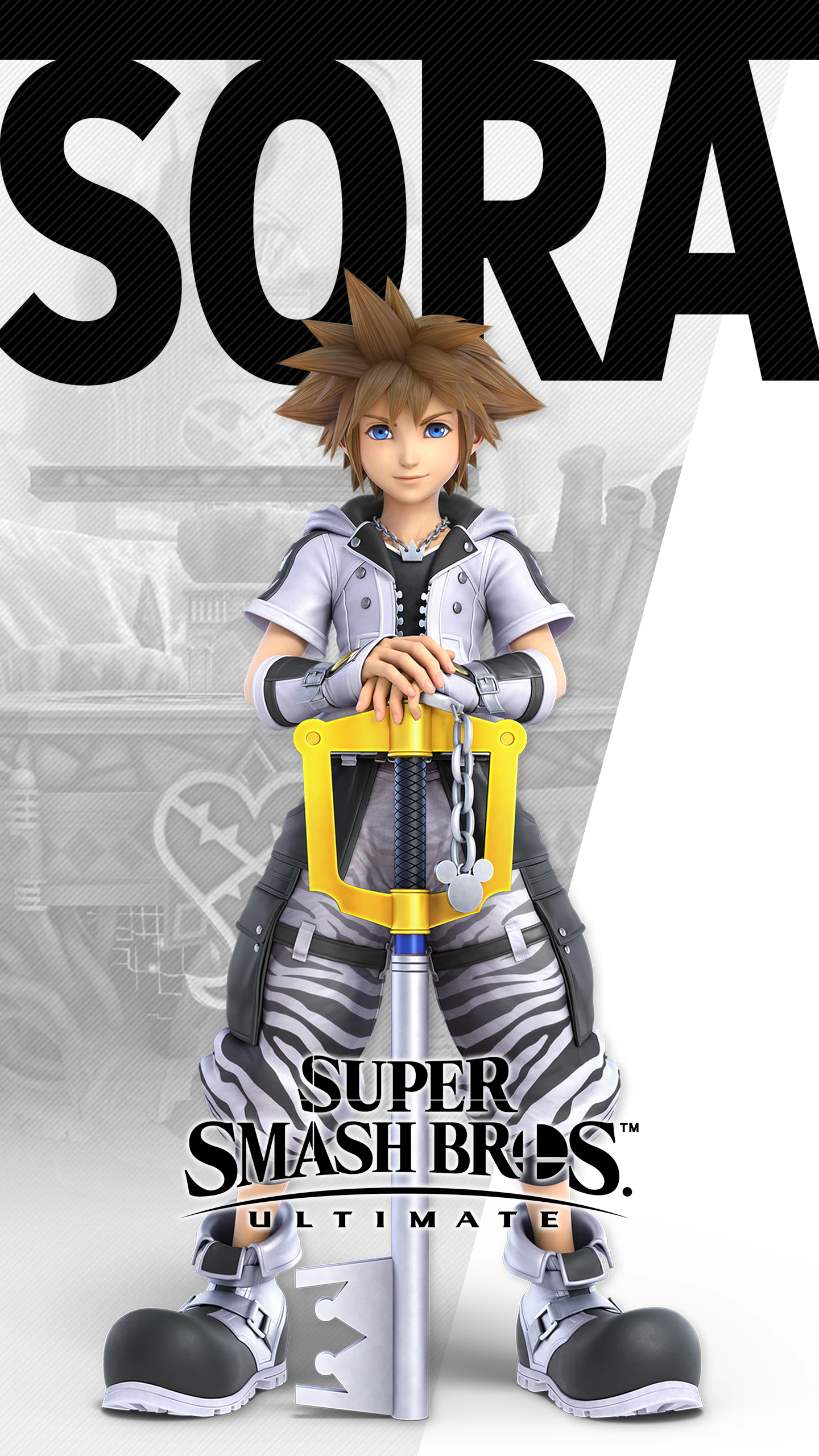 Super Smash Bros Ultimate Sora Costume