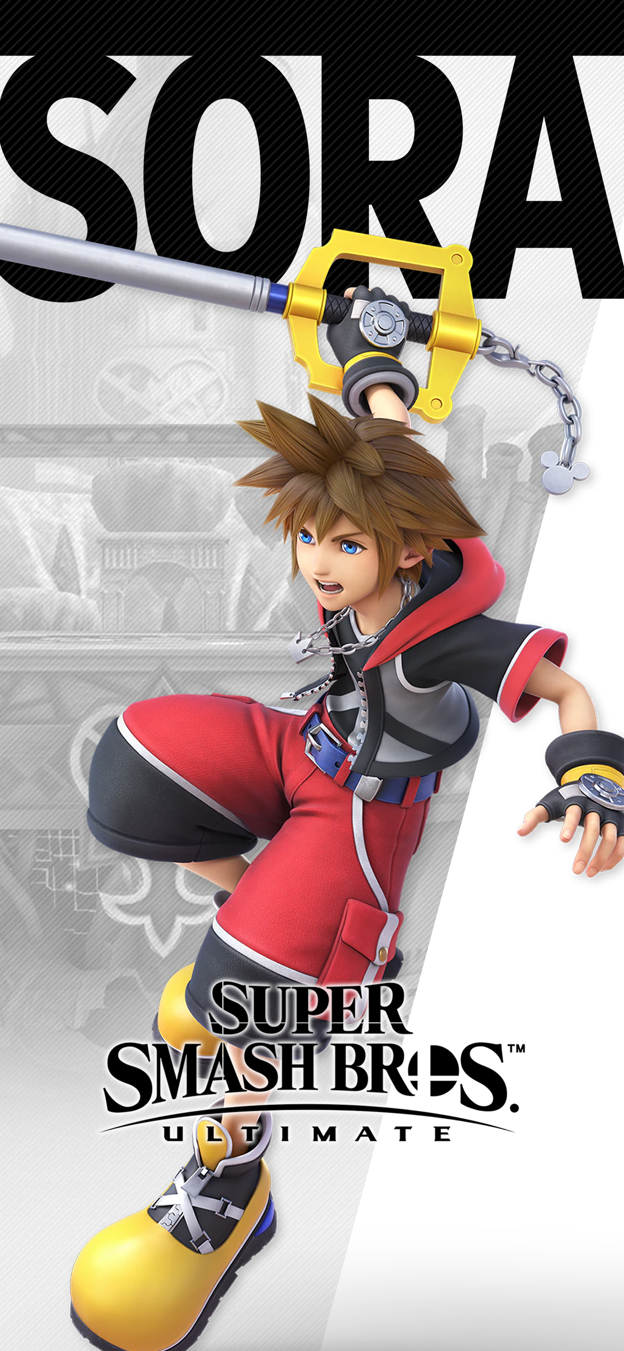 Super Smash Bros Ultimate Sora Costume