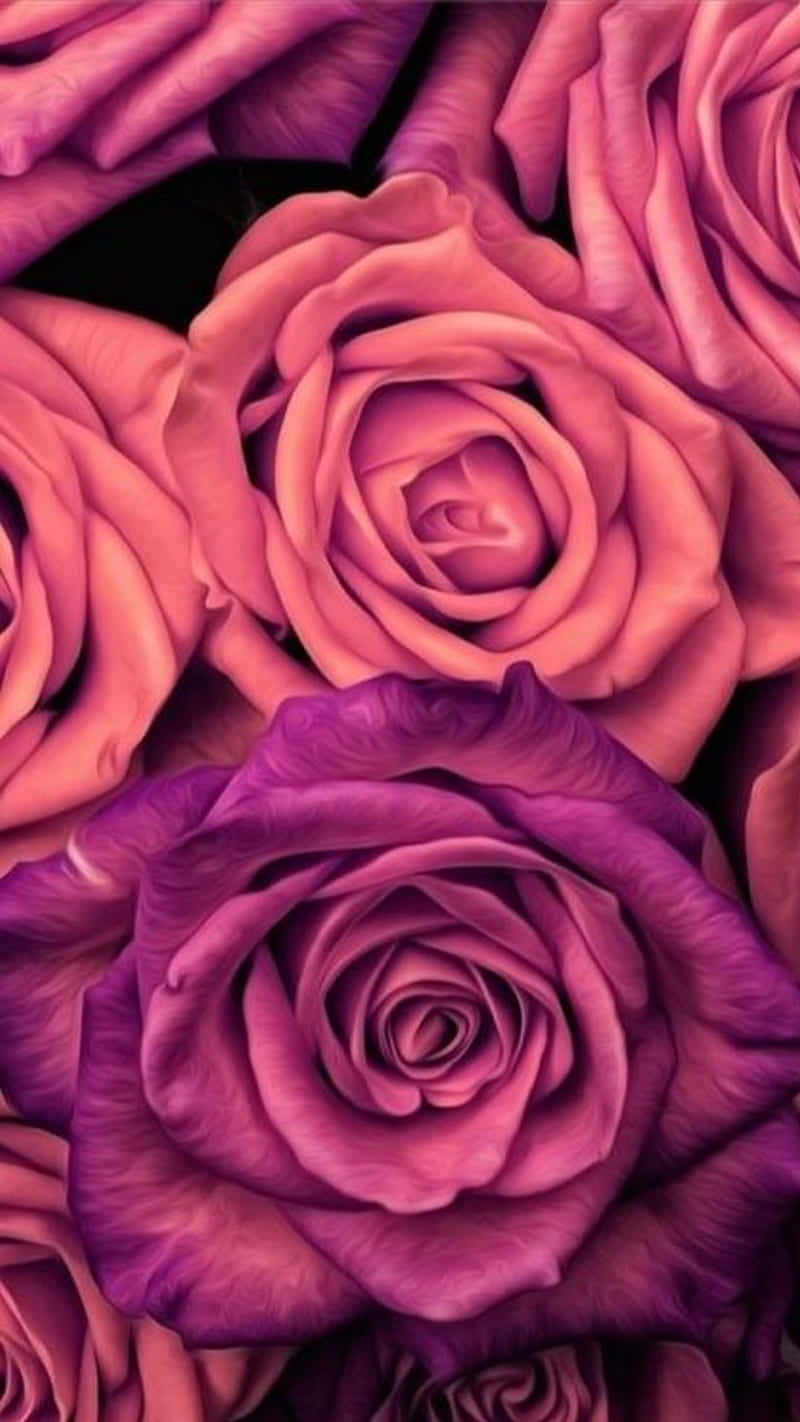 Pink iPhone X Roses Background