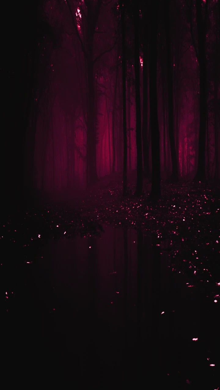 Dark magenta fantasy forest wallpaper