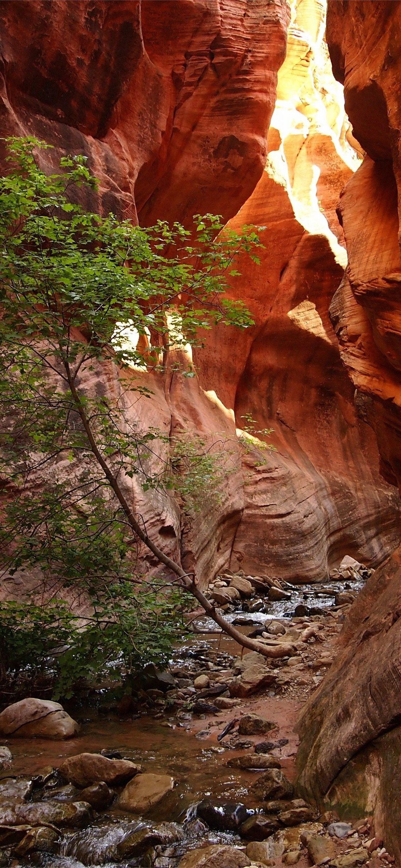 Zion National Park Phone Cave iPhone