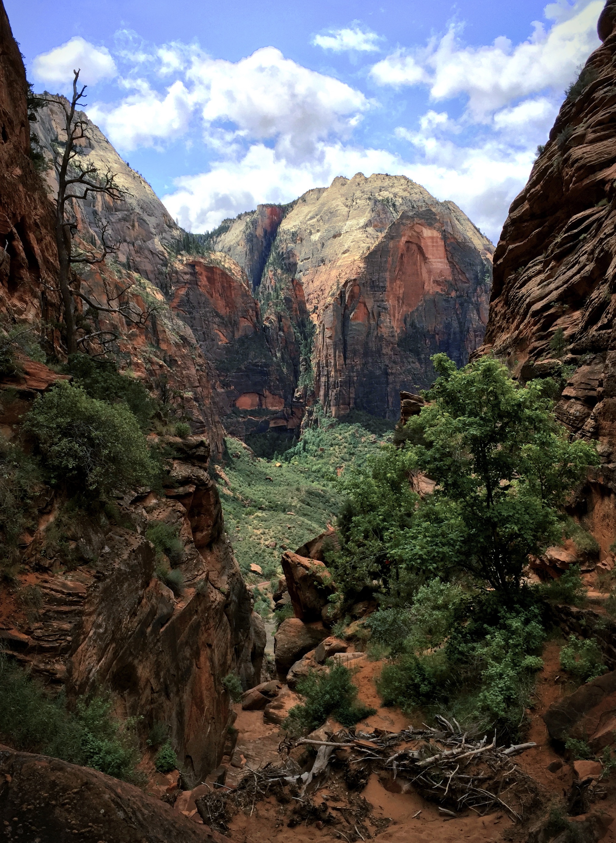 Zion National Park, Full of Formidable