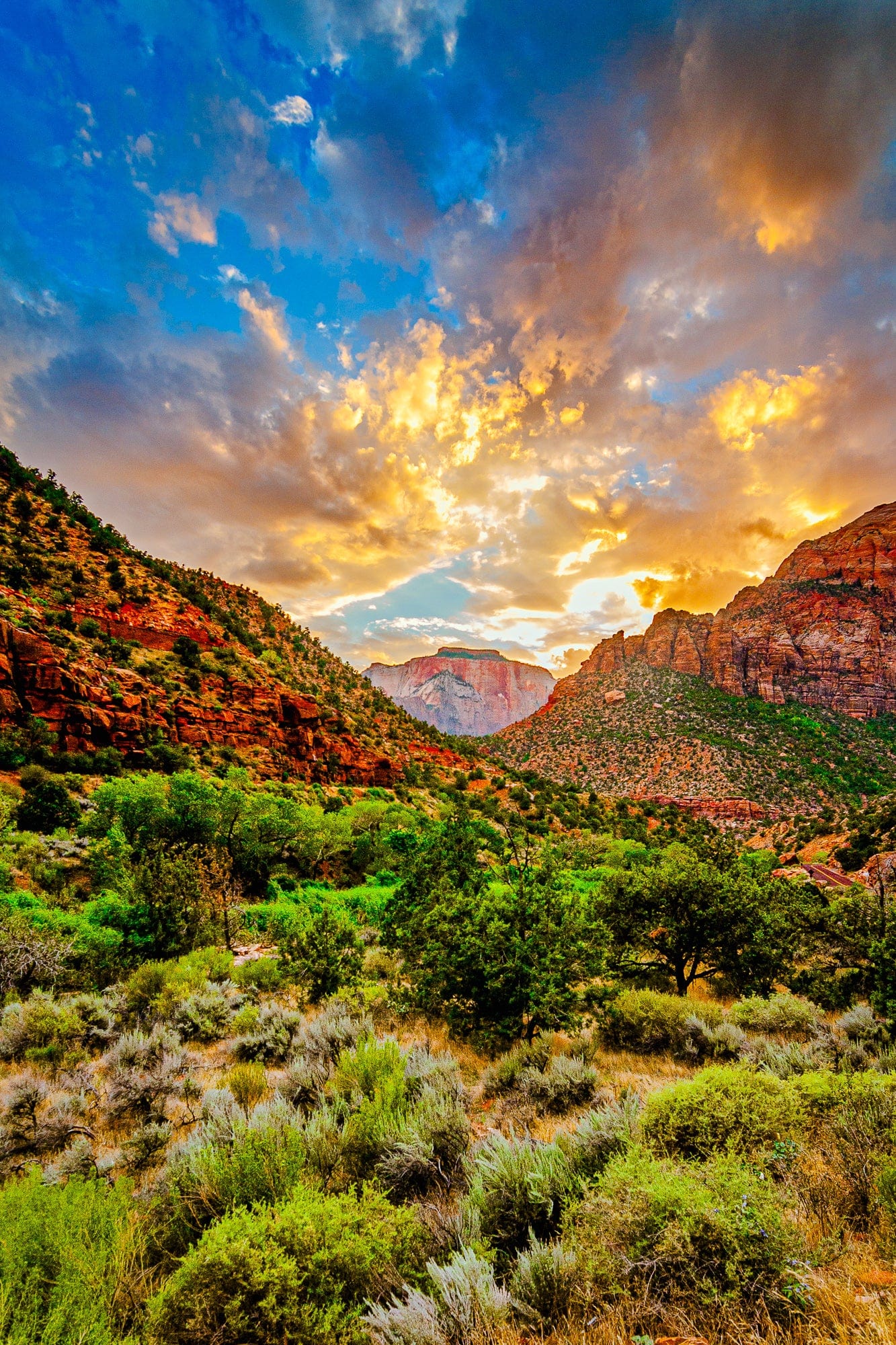 Zion, Golden Hour