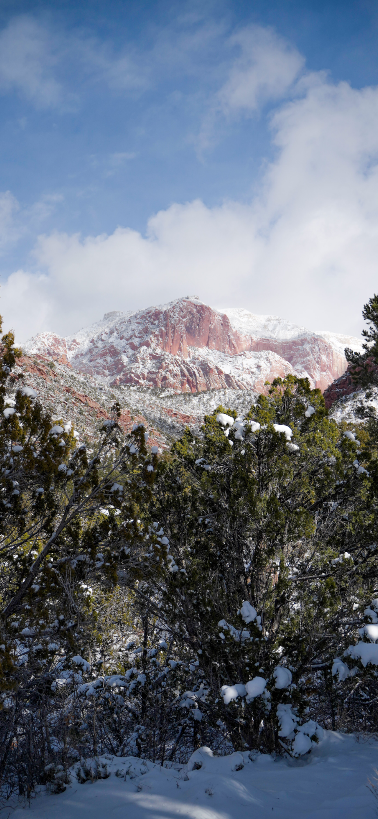 Zion National Park Wallpaper for iPhone