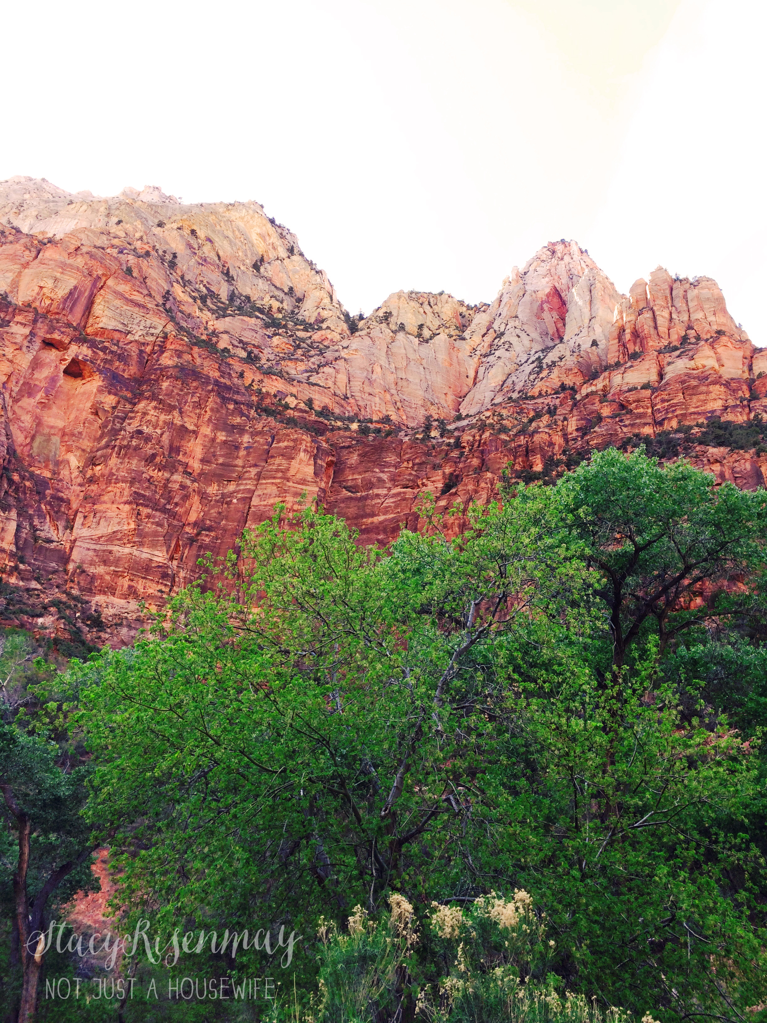 Zion National Park