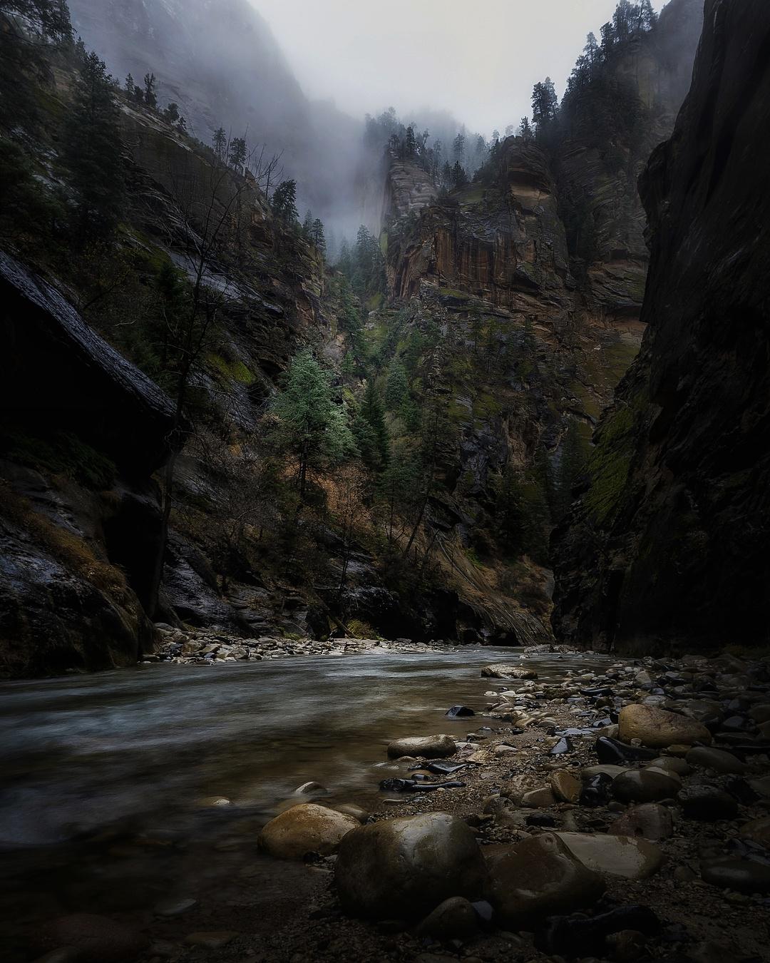 Foggy Scenes at The Narrows, Zion