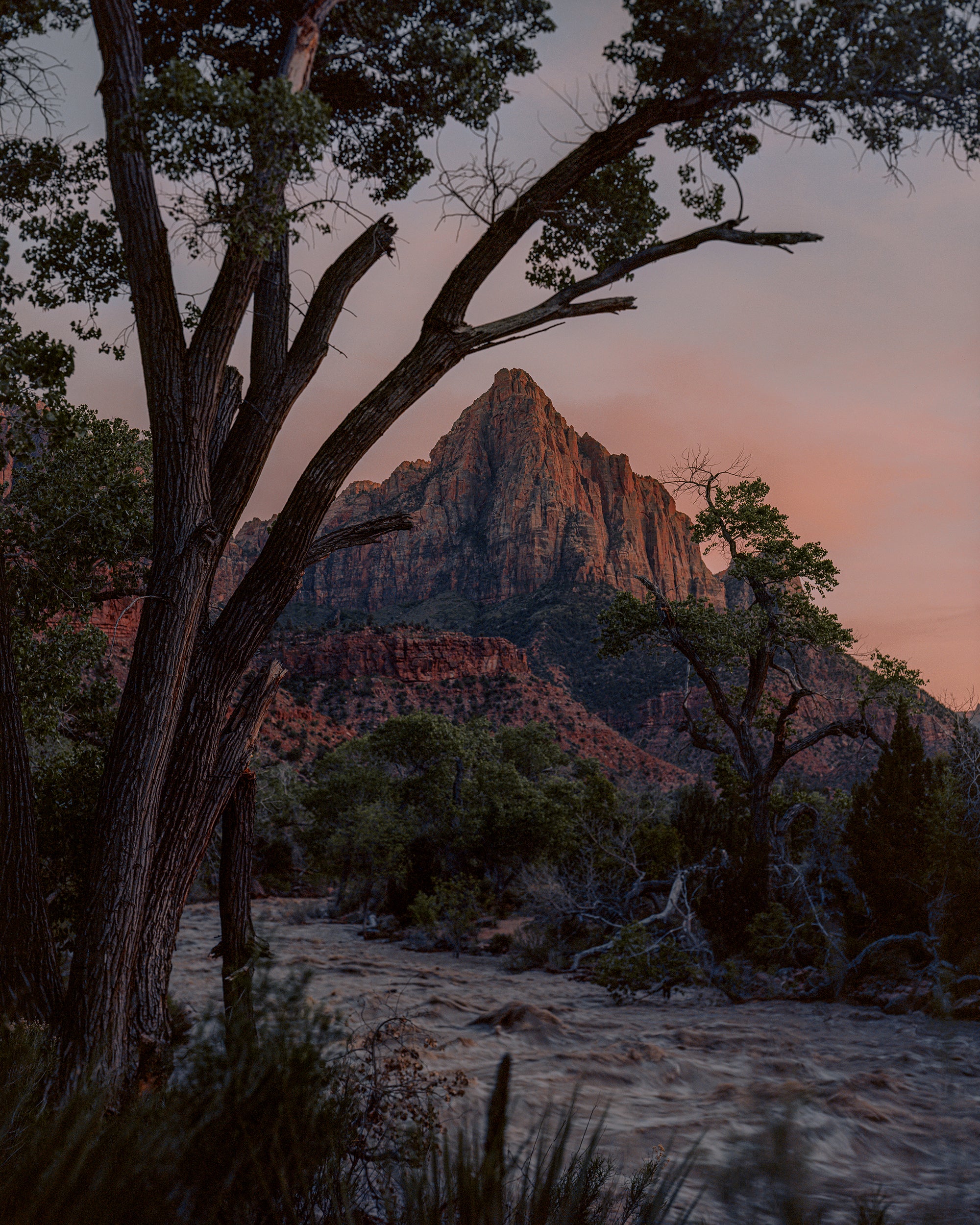 Canyon Cool: Zion National Park