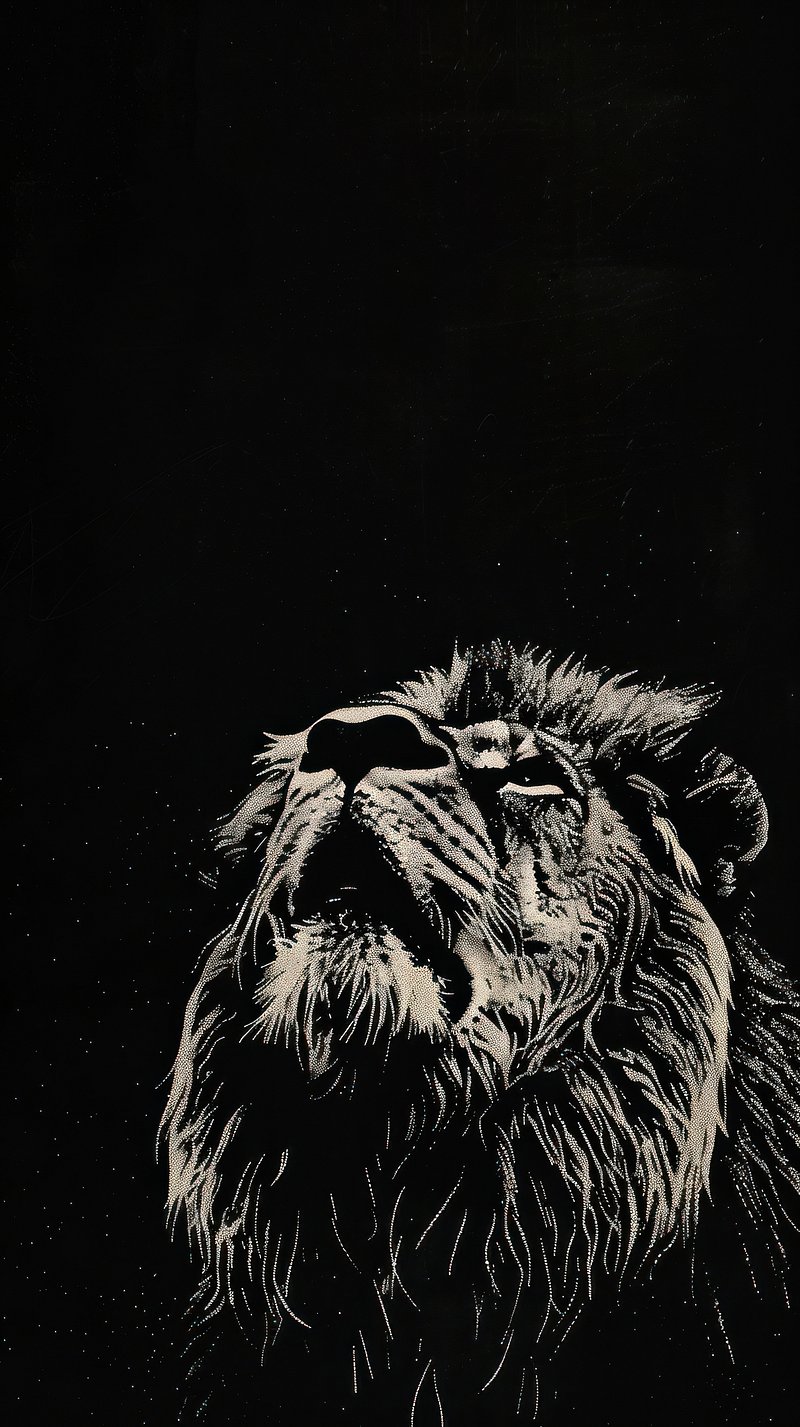 Lion Wallpaper Image. Free Photo