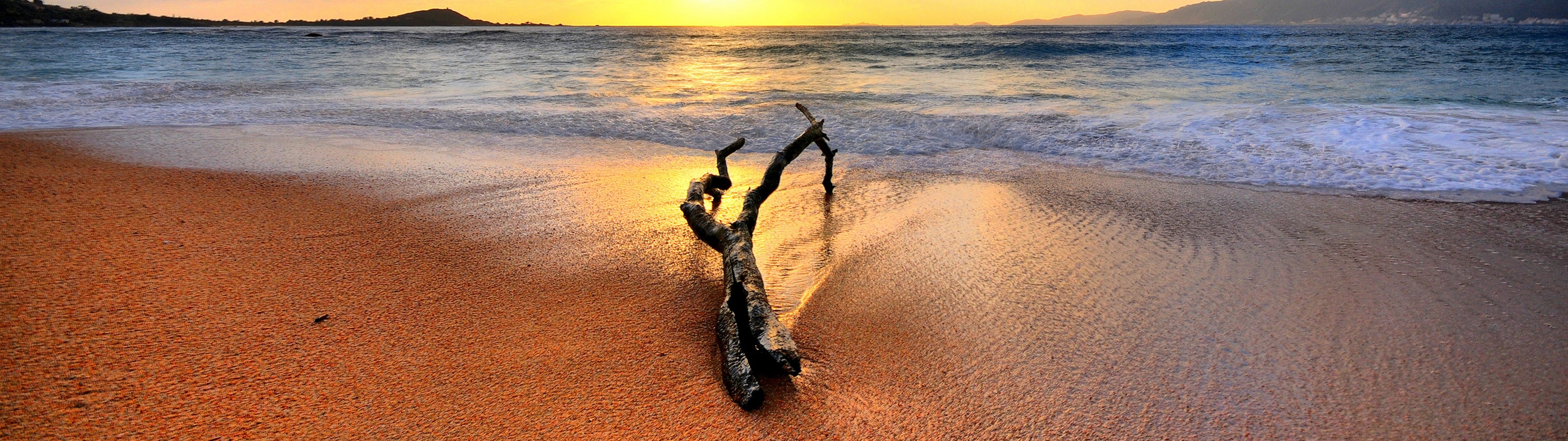 nature, landscape, multiple display