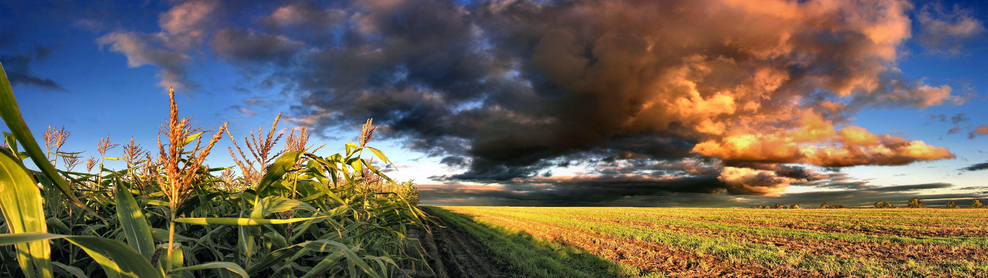 Nature Wallpaper