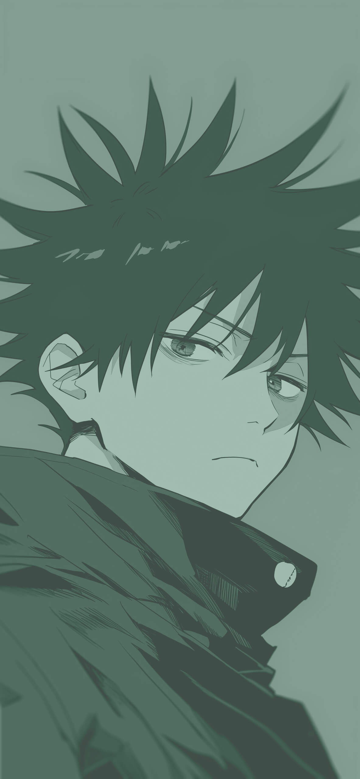 Megumi Fushiguro Jujutsu Kaisen