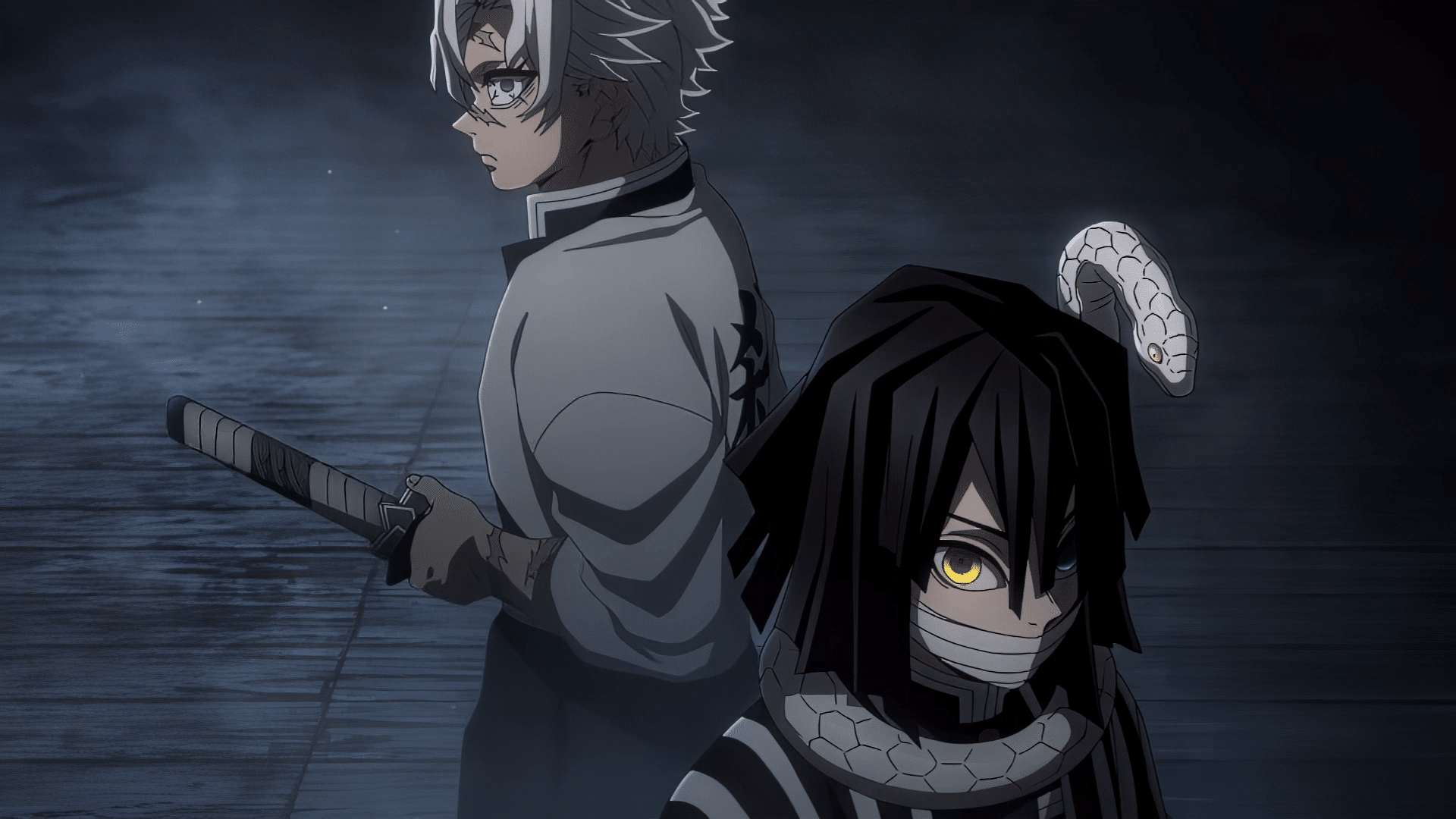 Demon Slayer Hashira Training Arc