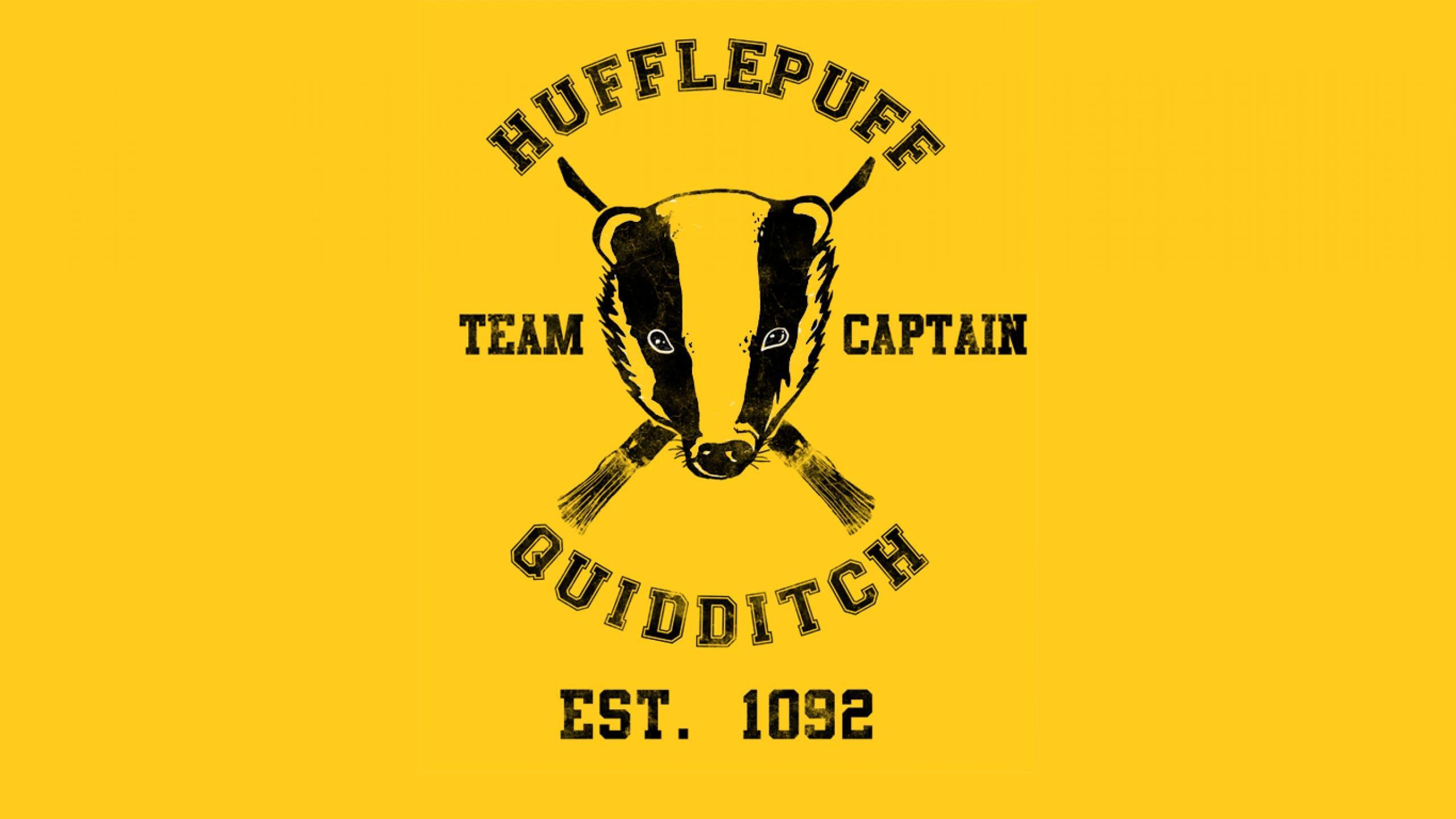 Hufflepuff Quidditch Wallpaper