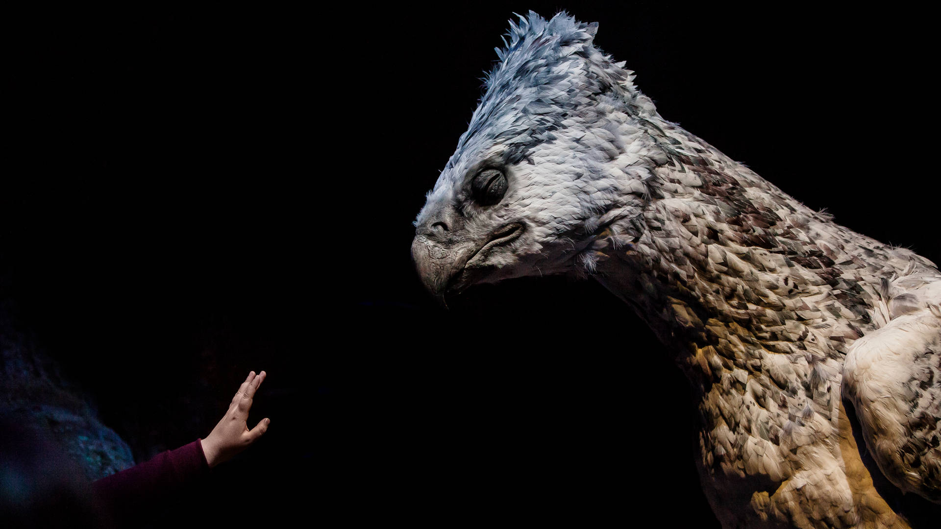 Download Hufflepuff Wallpaper for FREE