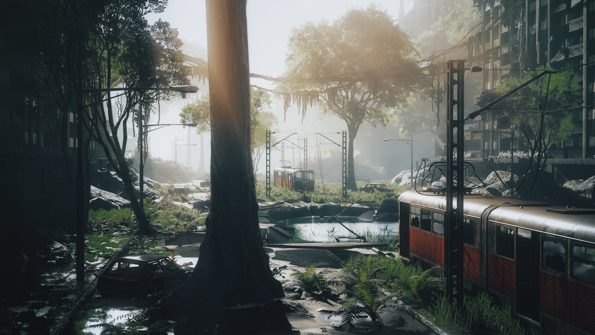 Post Apocalyptic Nature City