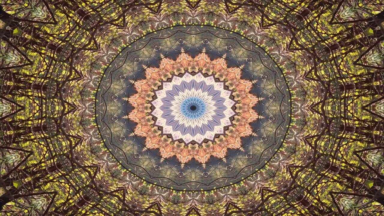 Pattern Background Videos: Download 13