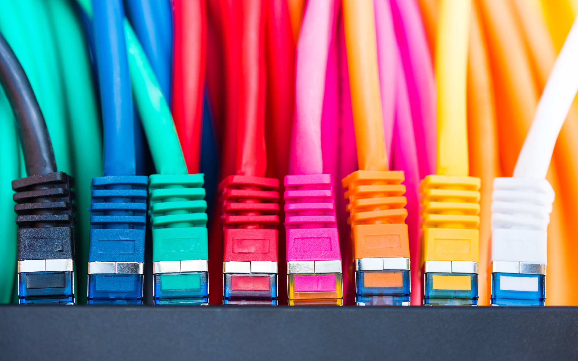colorful, ethernet, wires, network