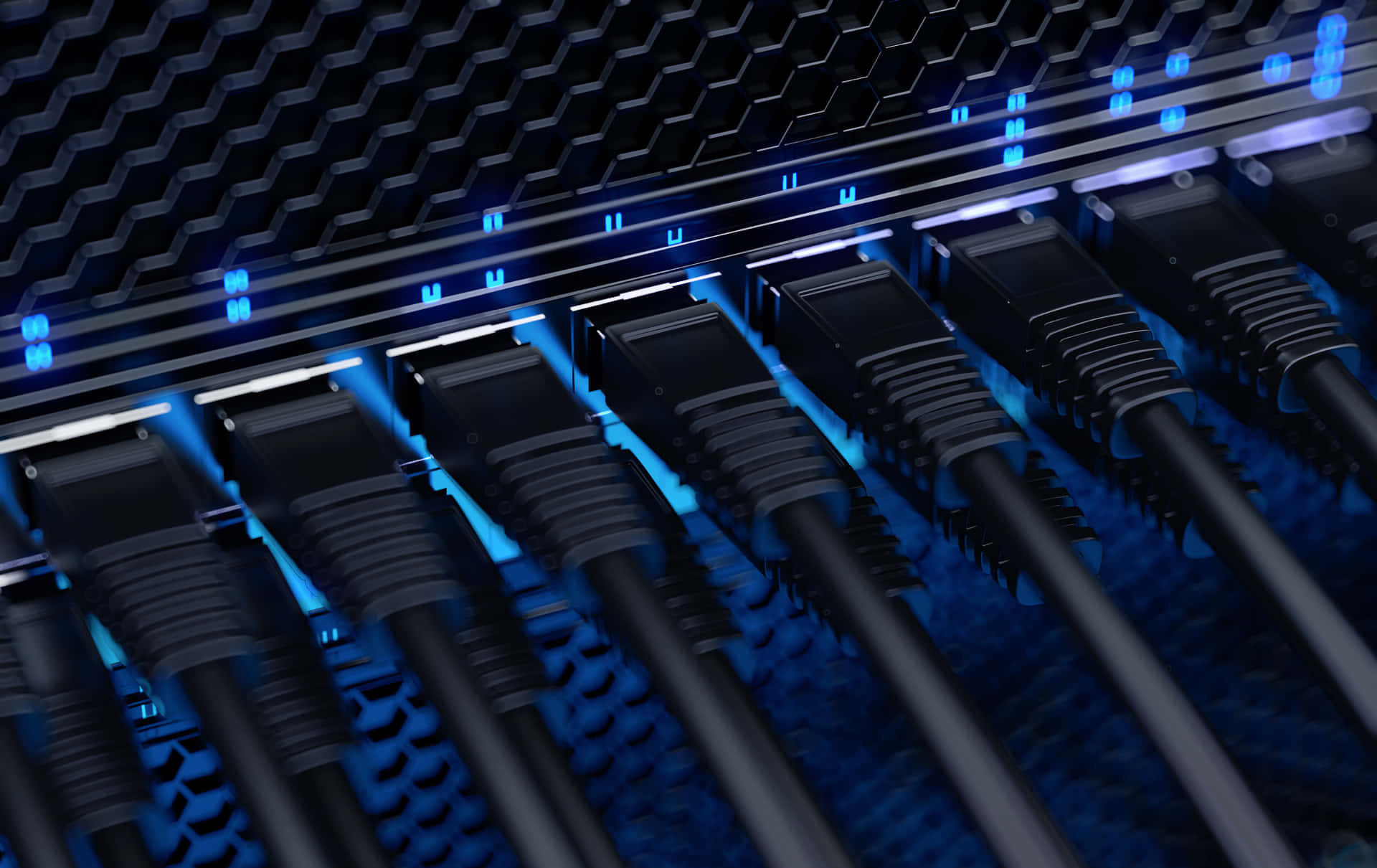 Network Picture