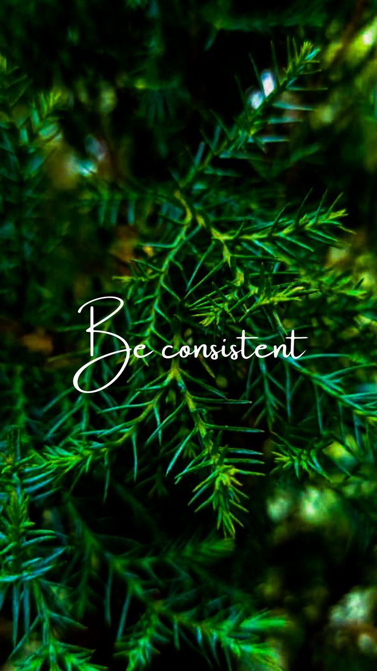 Nature phone wallpaper