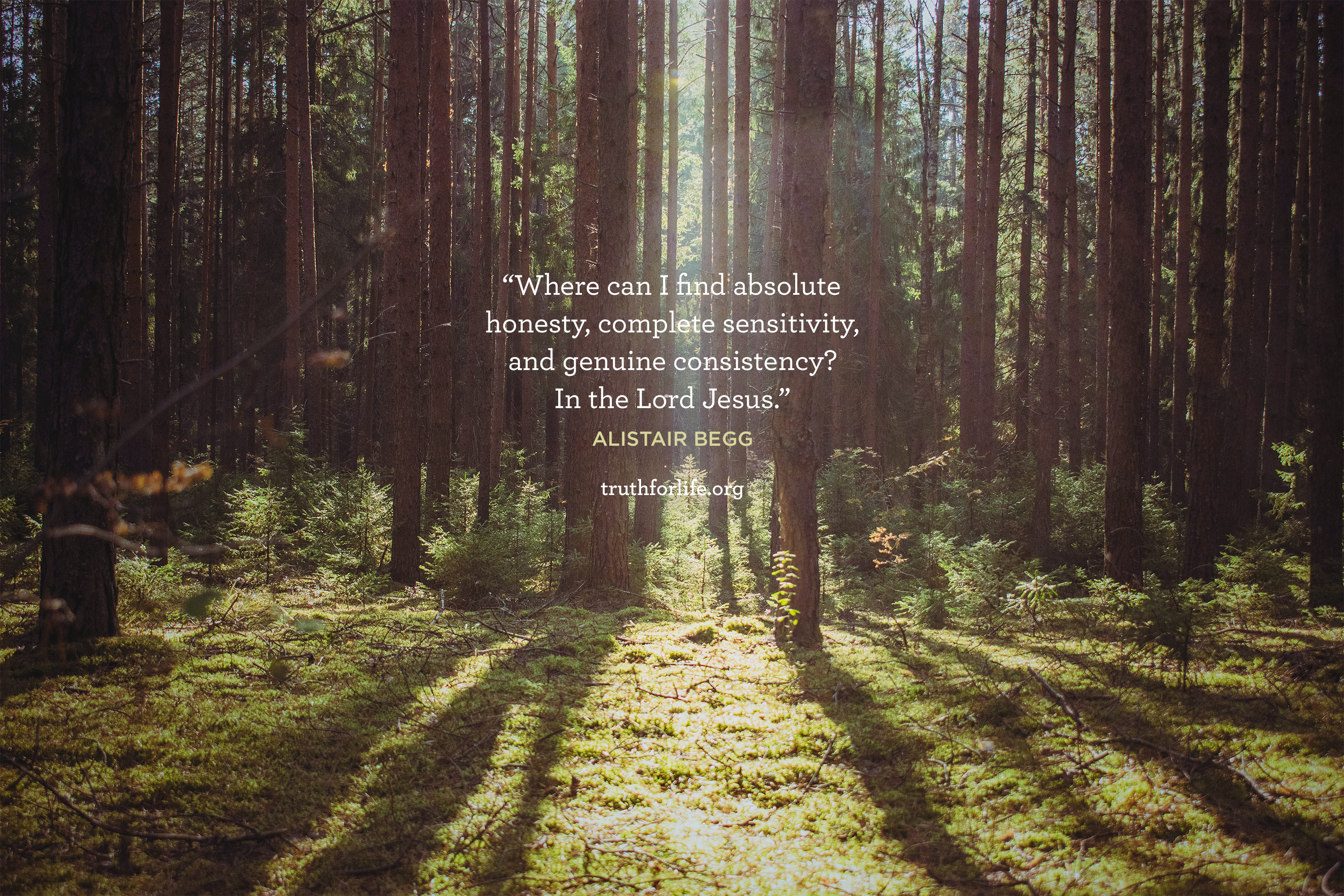 Consistency: Wallpaper