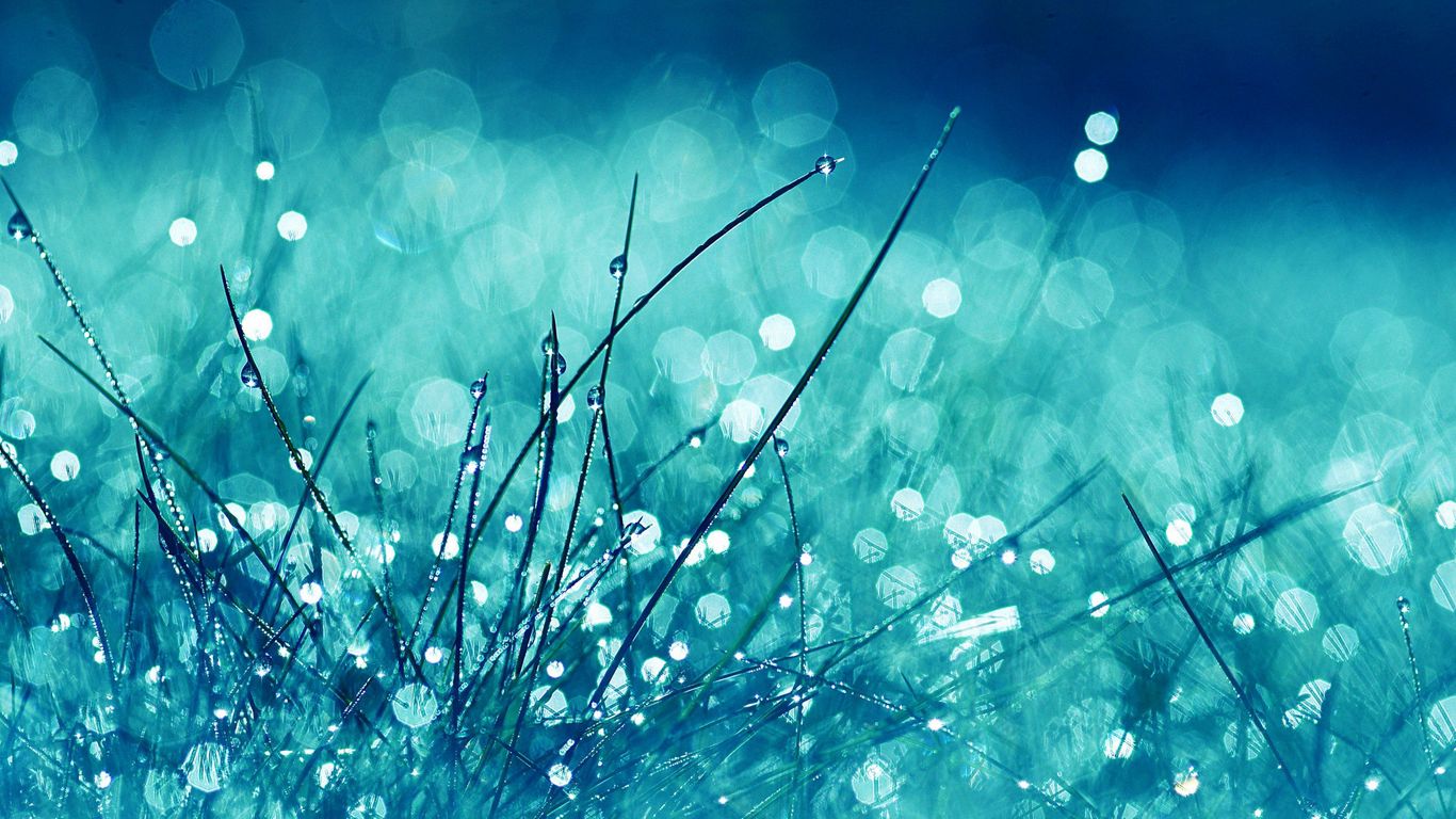 Download wallpaper 1366x768 grass