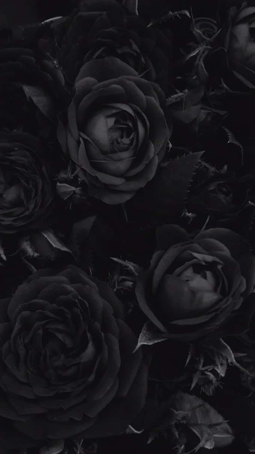 Goth Aesthetic Black Wallpaper