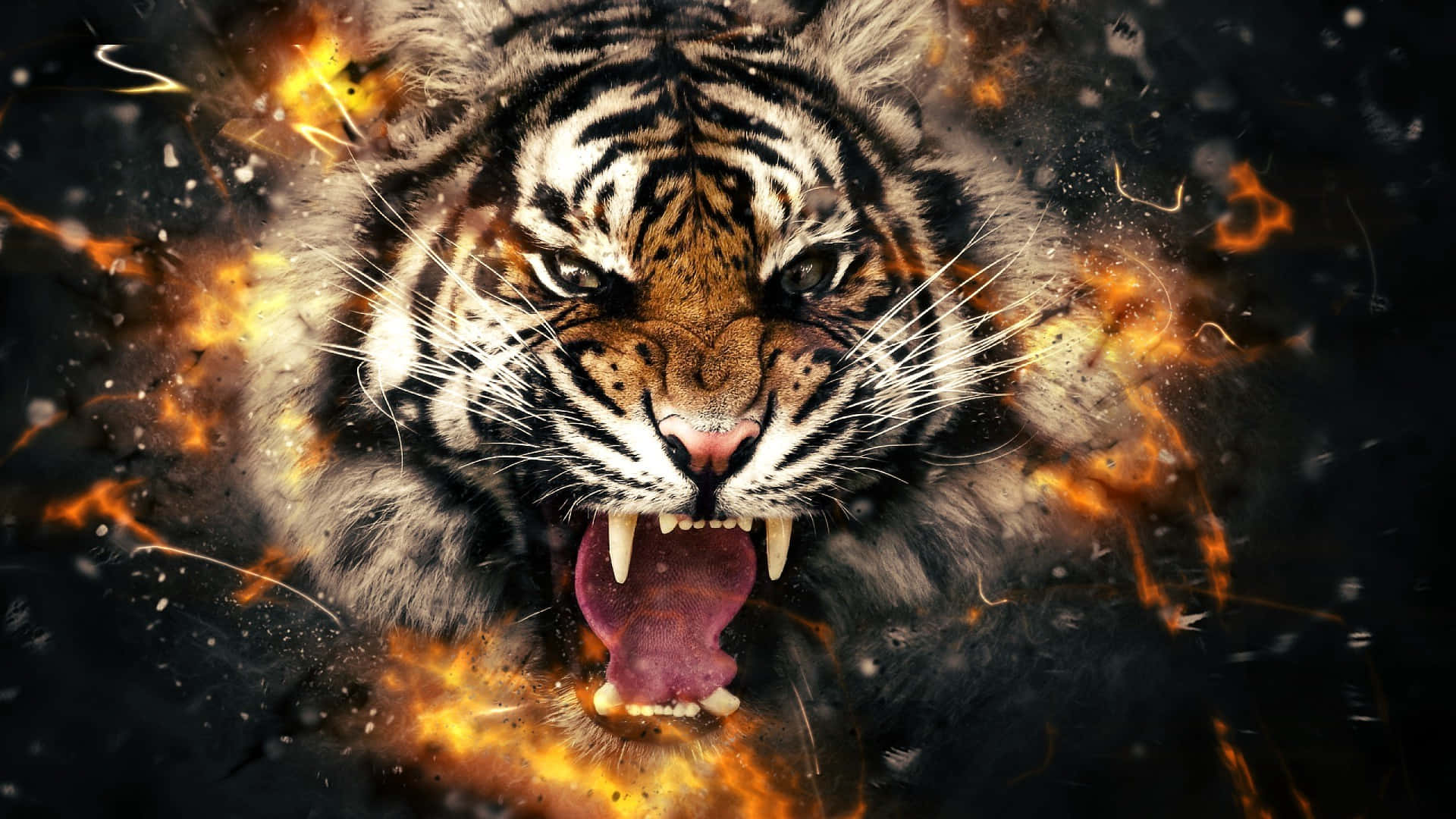 Tiger Face Wallpaper