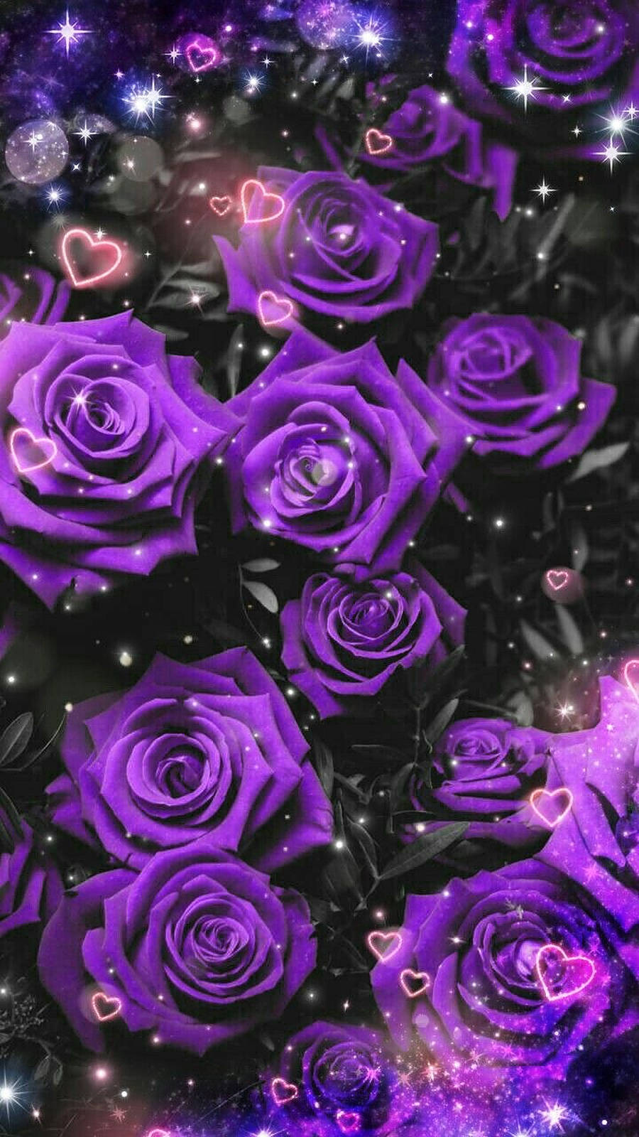 Free Purple Rose HD Wallpaper