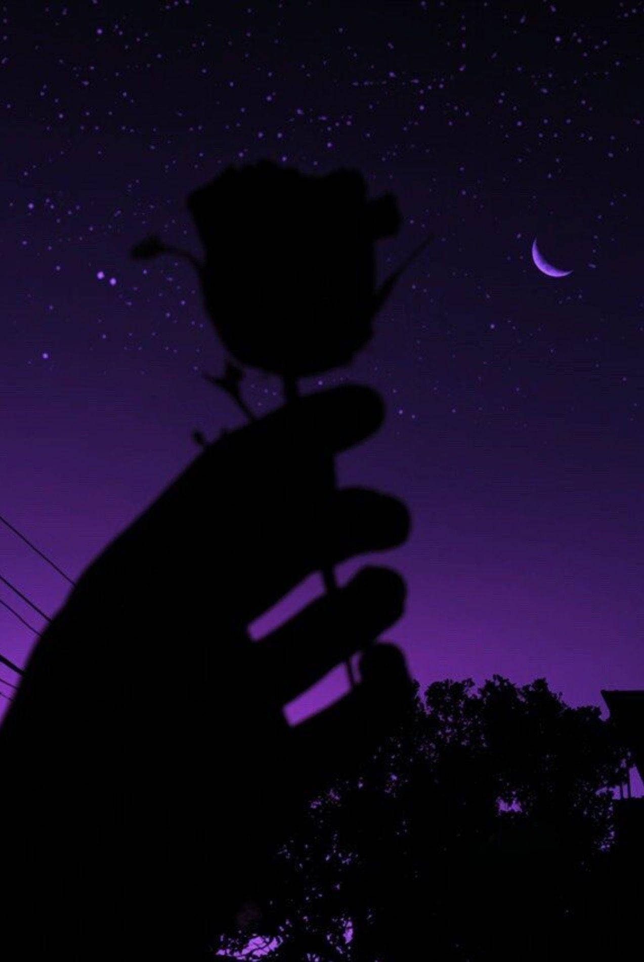 Purple Aesthetic Rose Wallpaper