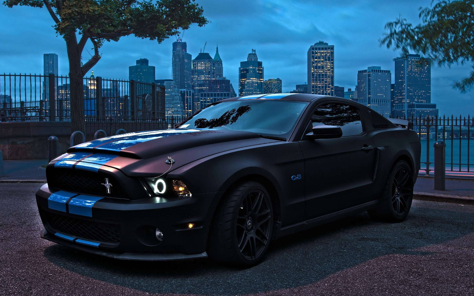 Download Mustang Wallpaper