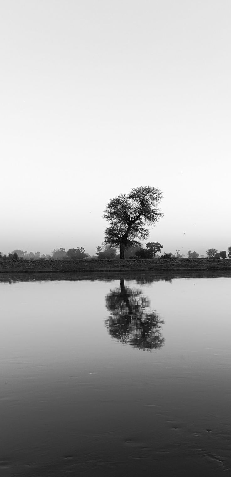 white aesthetic mobile Wallpaper in 4k