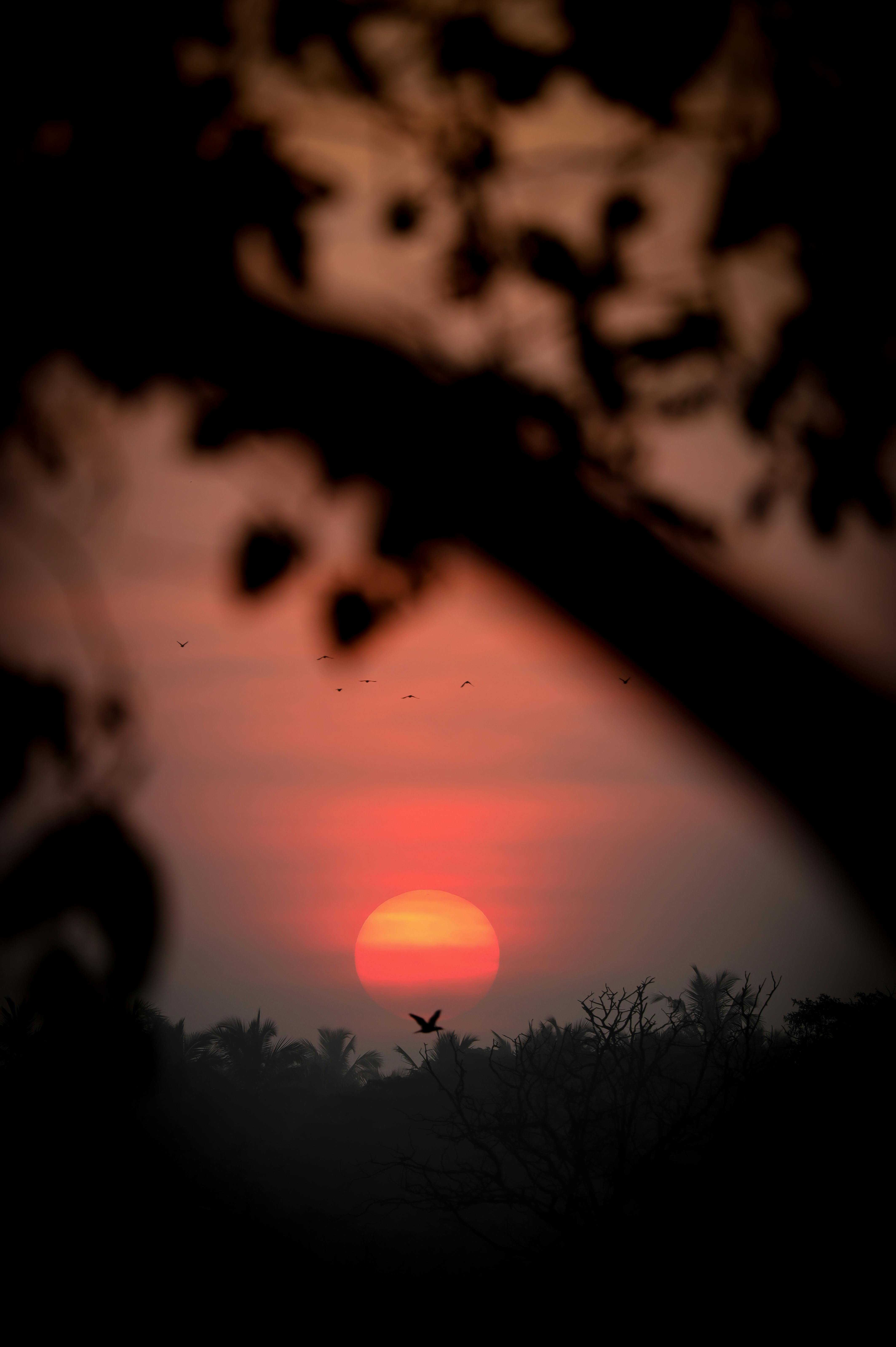 Rising Sun Photo, Download The BEST