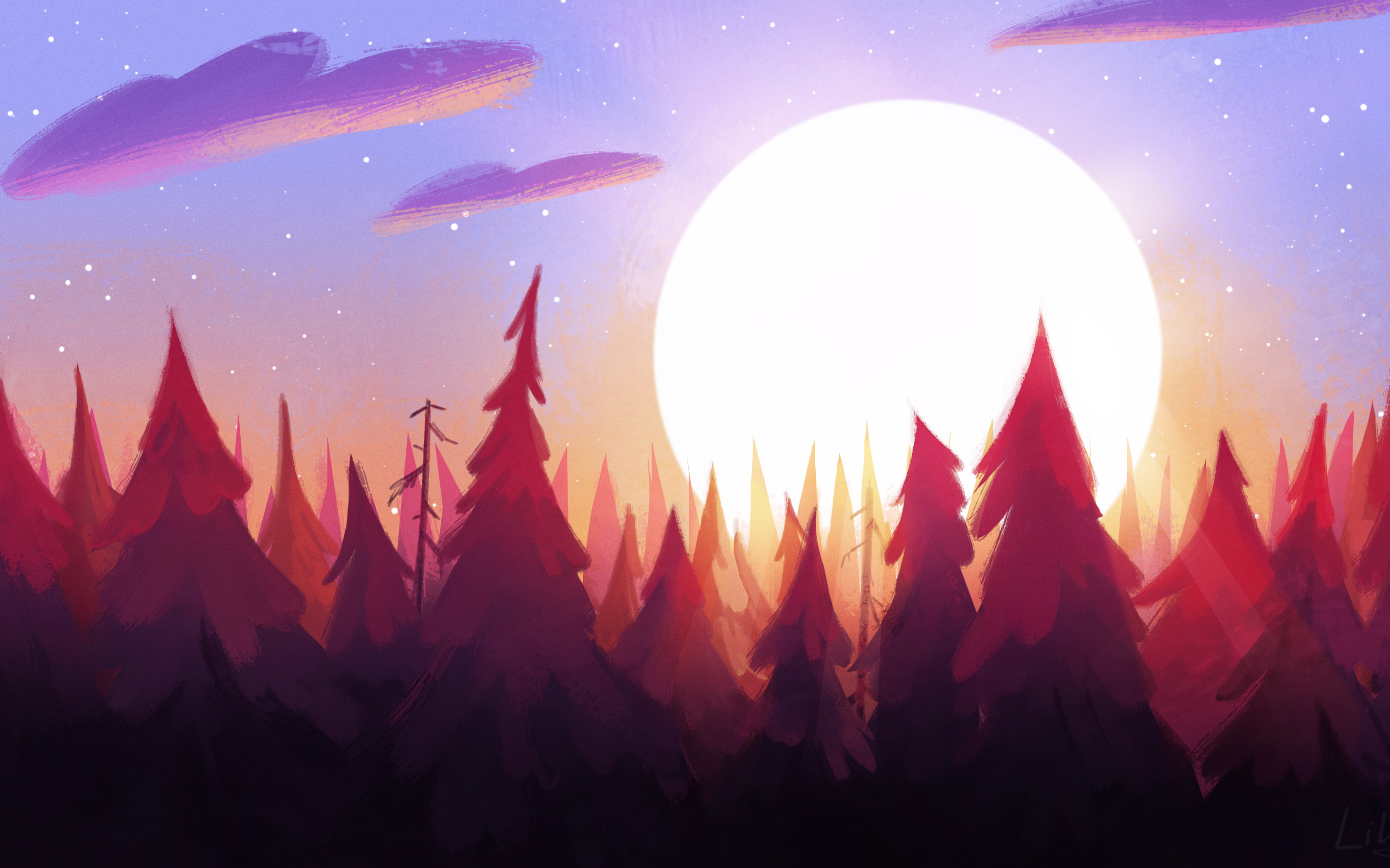 Sun Rising From Trees Morning