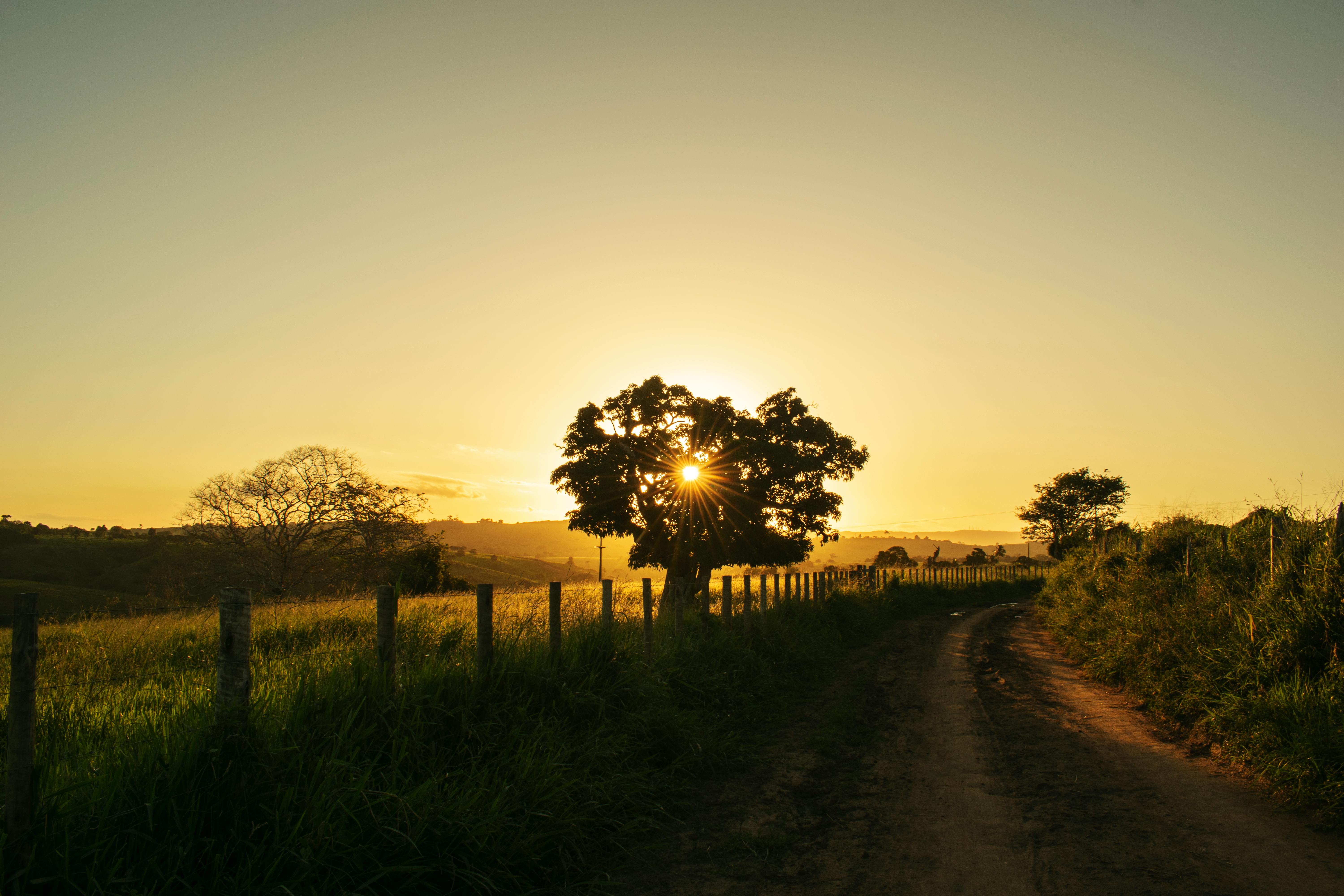Rising Sun Photo, Download The BEST