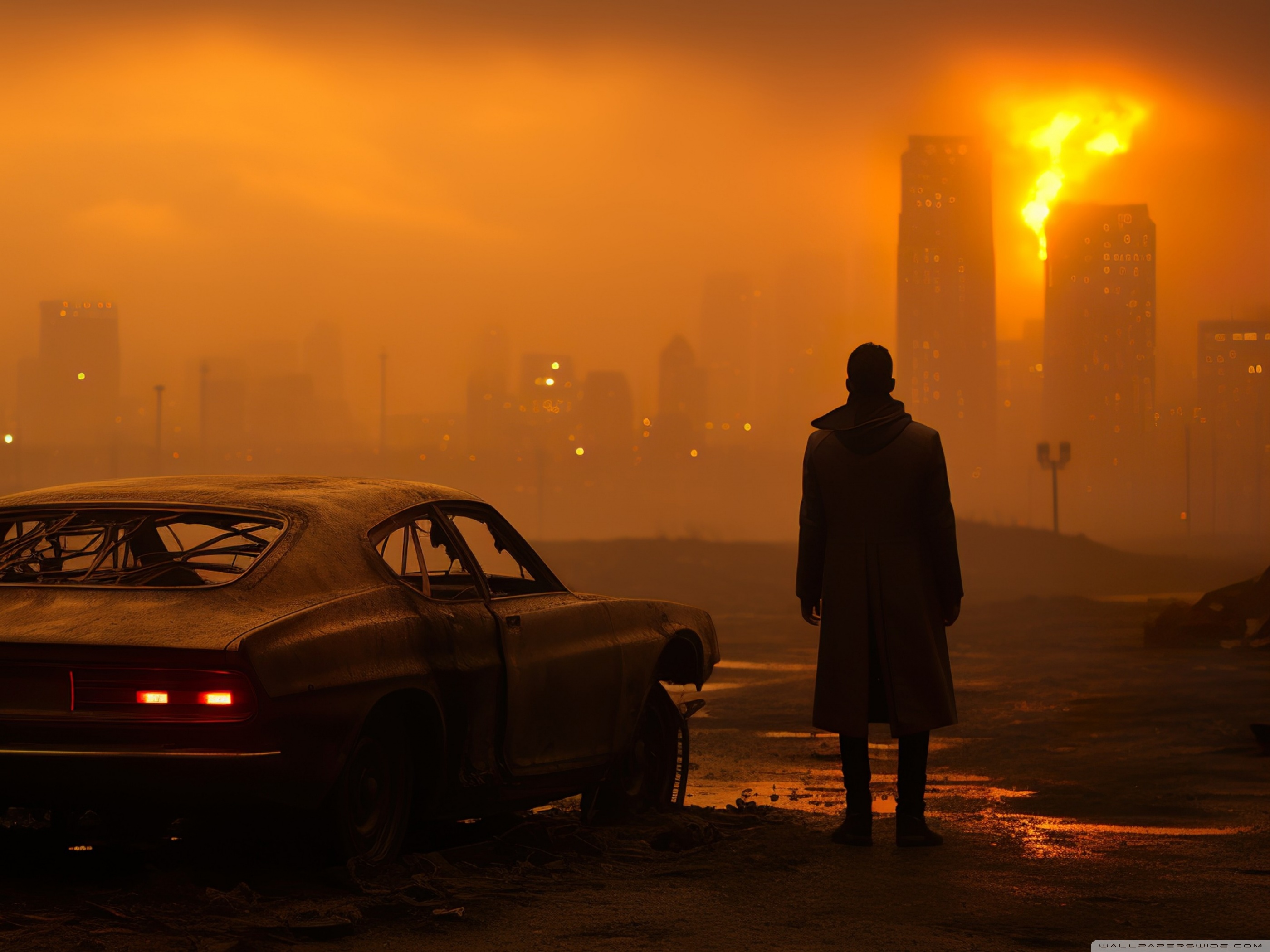 Wasteland Ultra HD Desktop Background