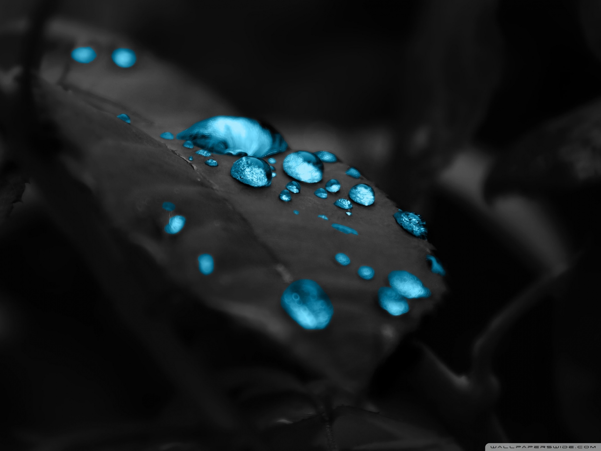 Ultra HD Desktop Background Wallpaper