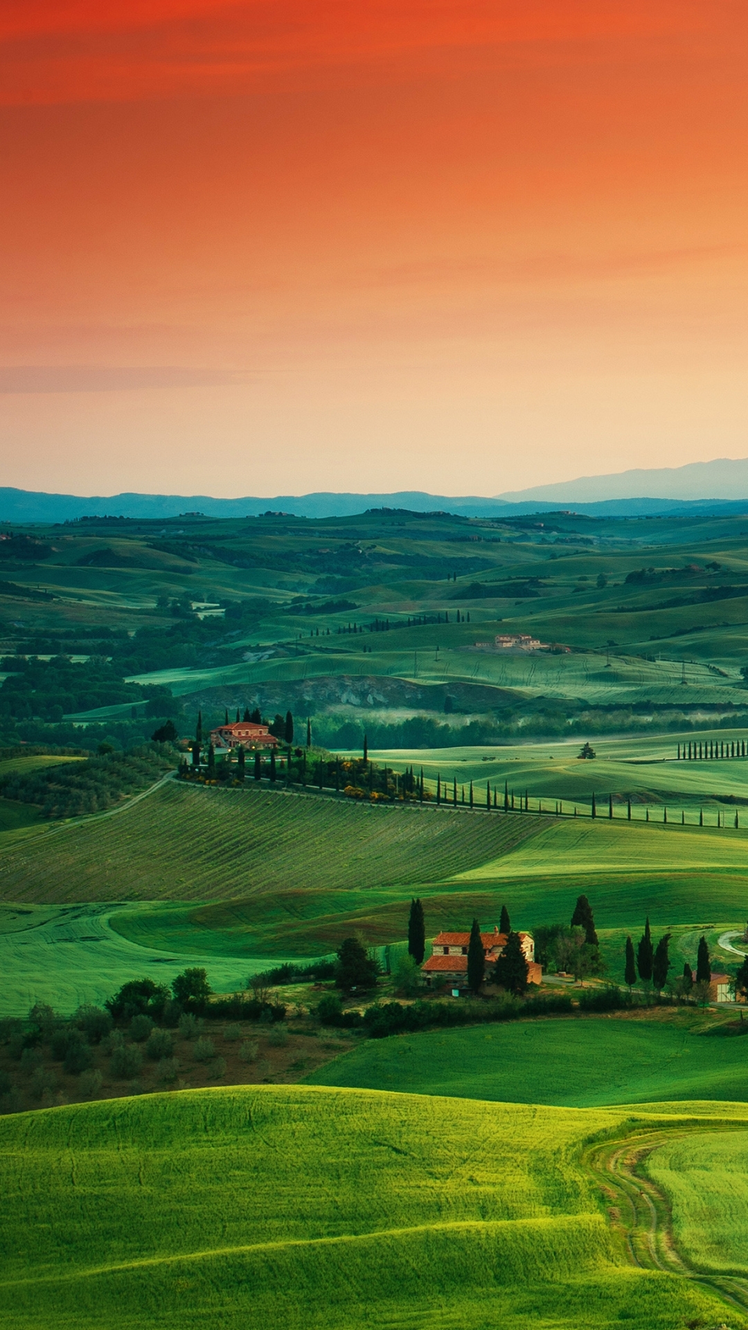 Italy, Photography, Tuscany, 1279059