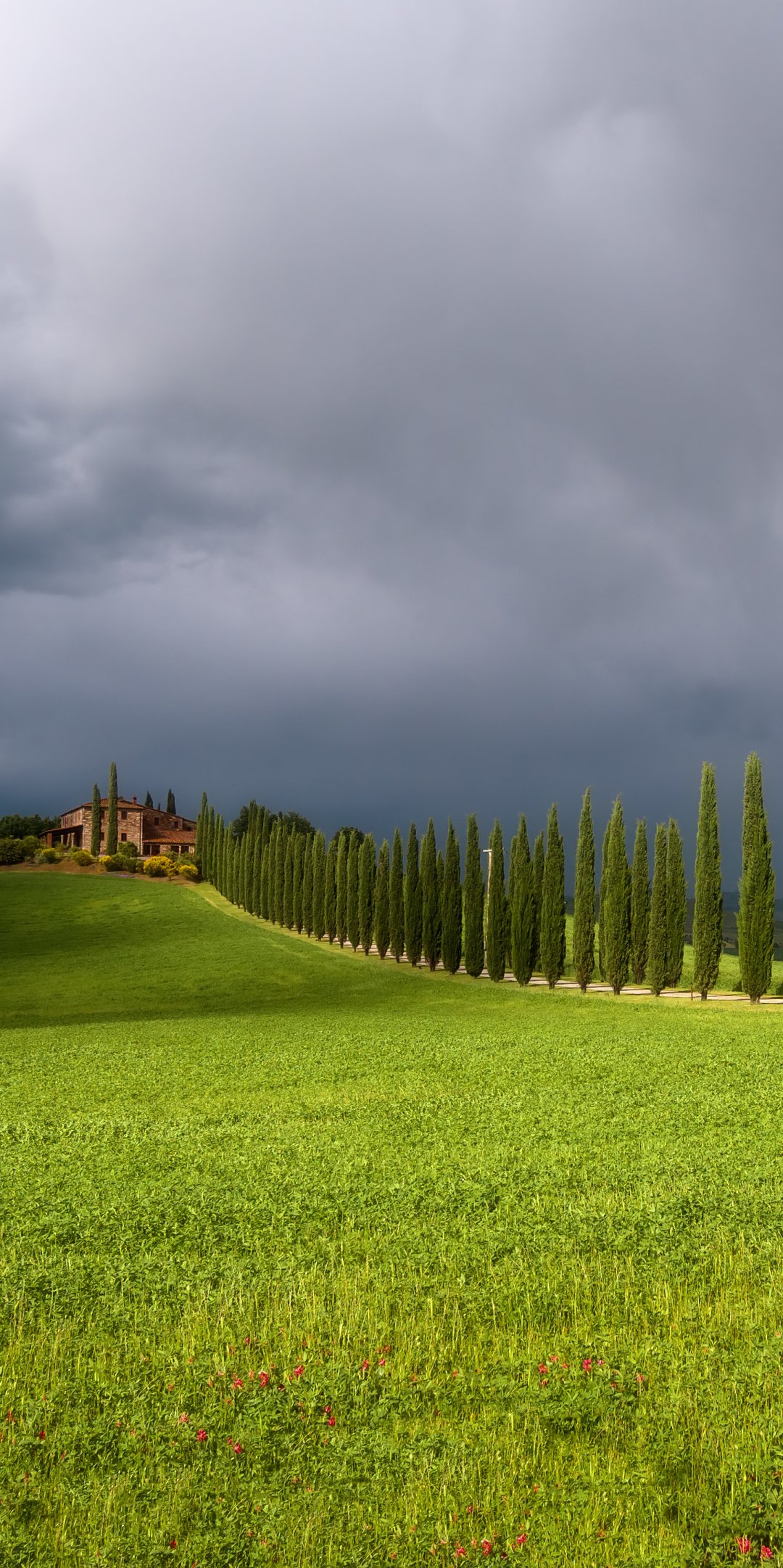 Tuscany iPhone Wallpaper