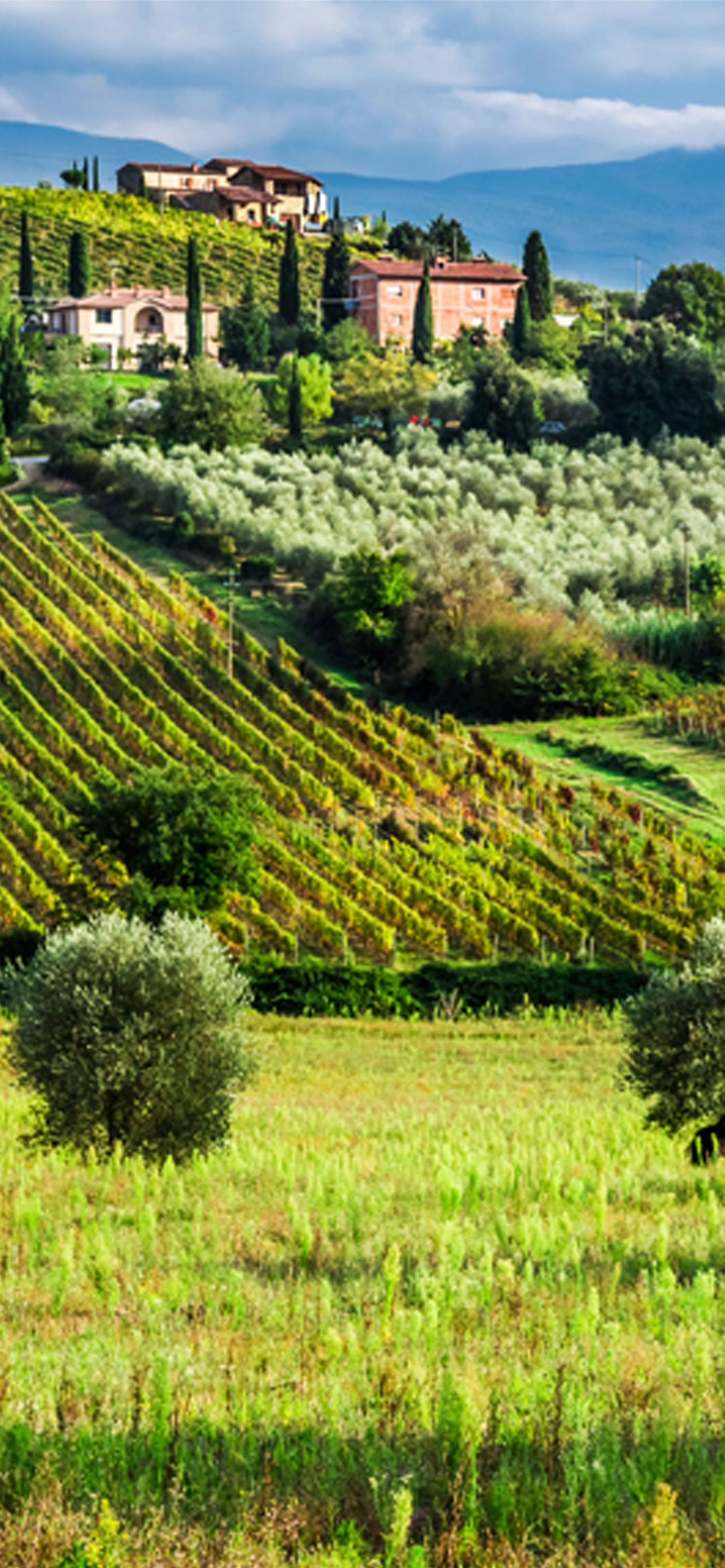 Best Tuscan countryside iPhone HD