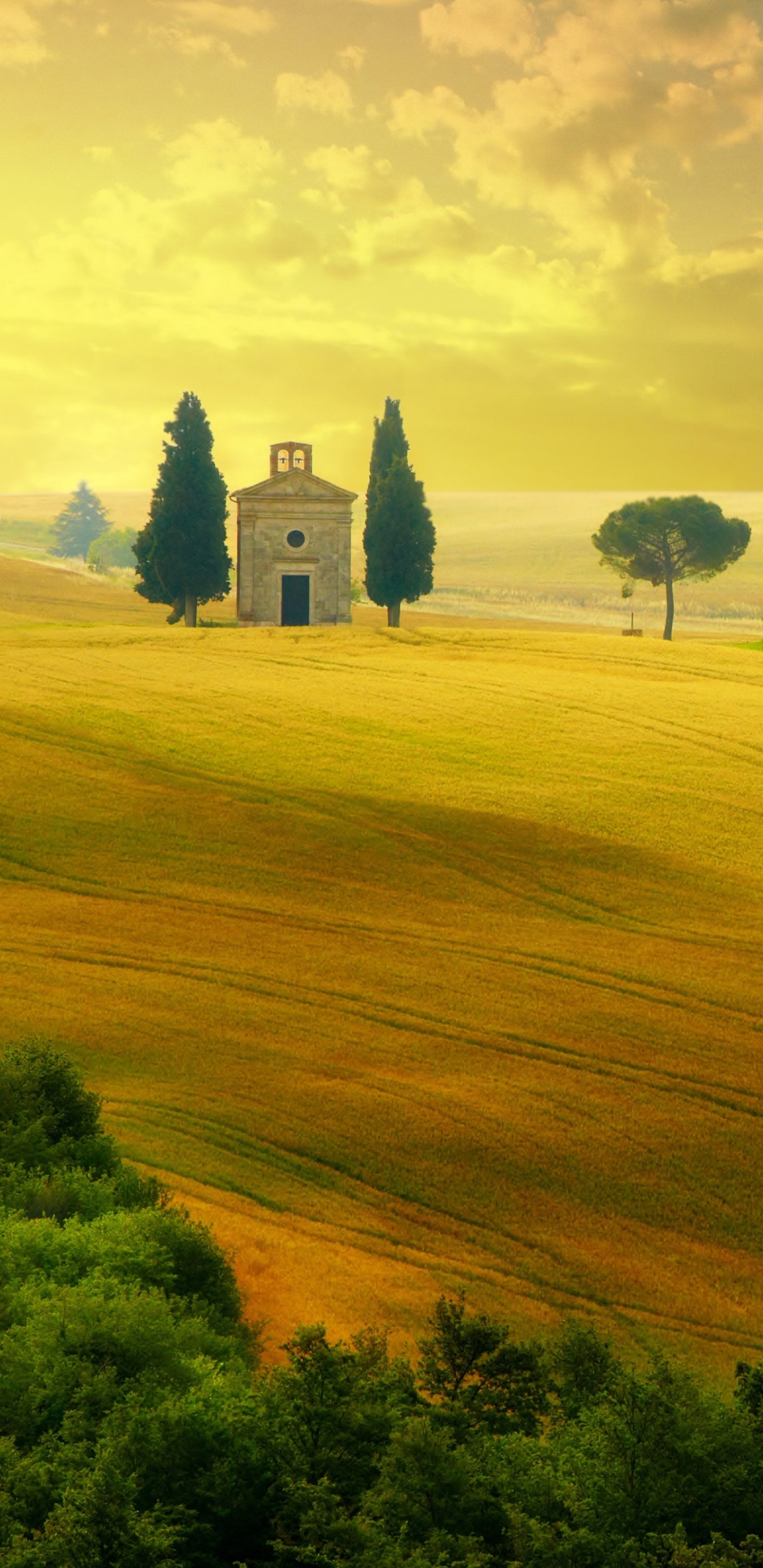 Italy, Photography, Tuscany, 1325340